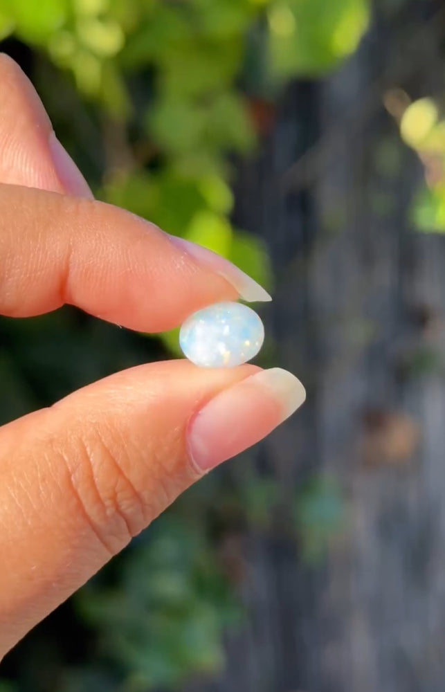 
                  
                    1/2 RESERVED LISTING - angeliqvixen_
                  
                