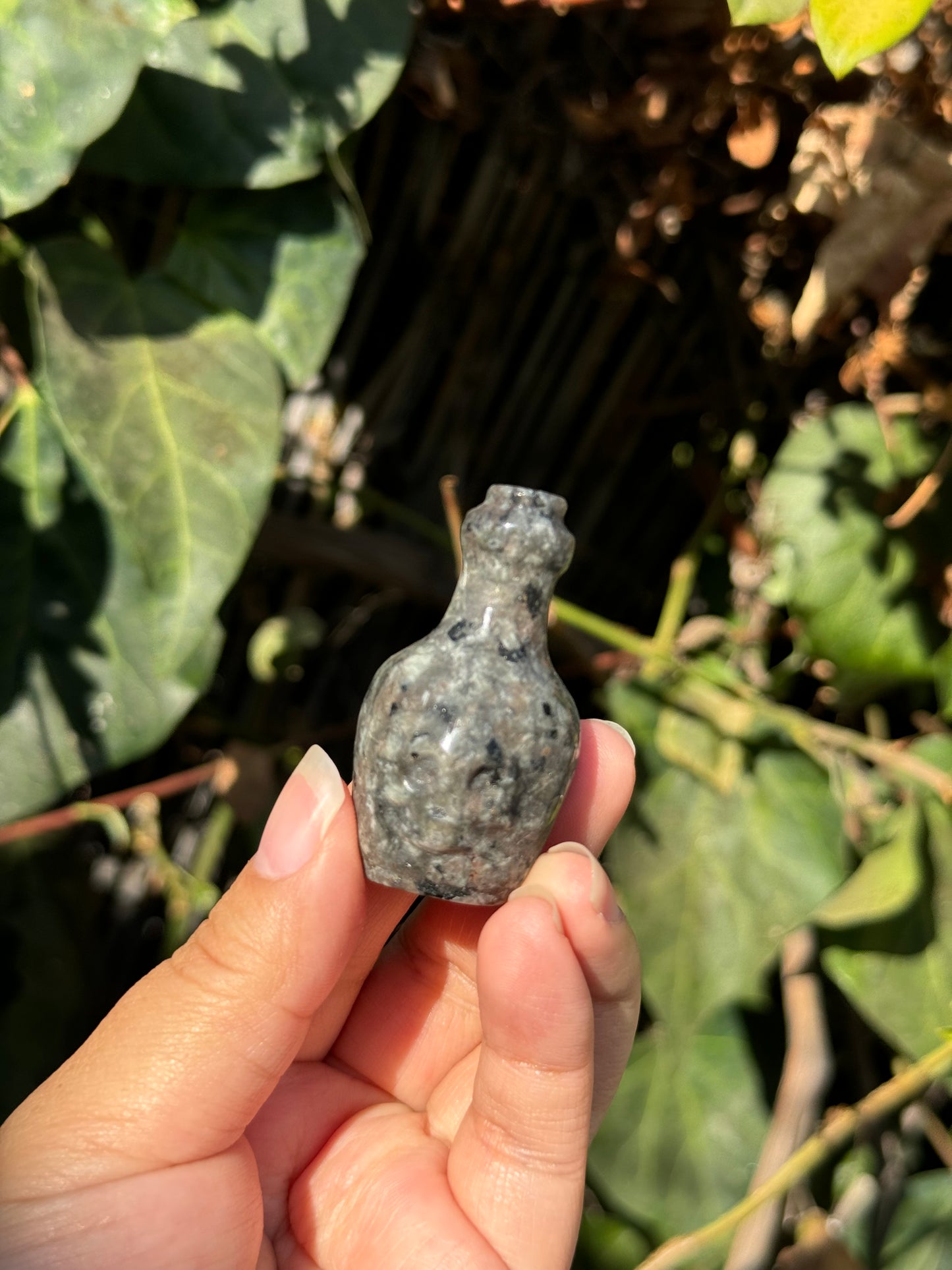 
                  
                    RESERVED LISTING - zombieboy69
                  
                