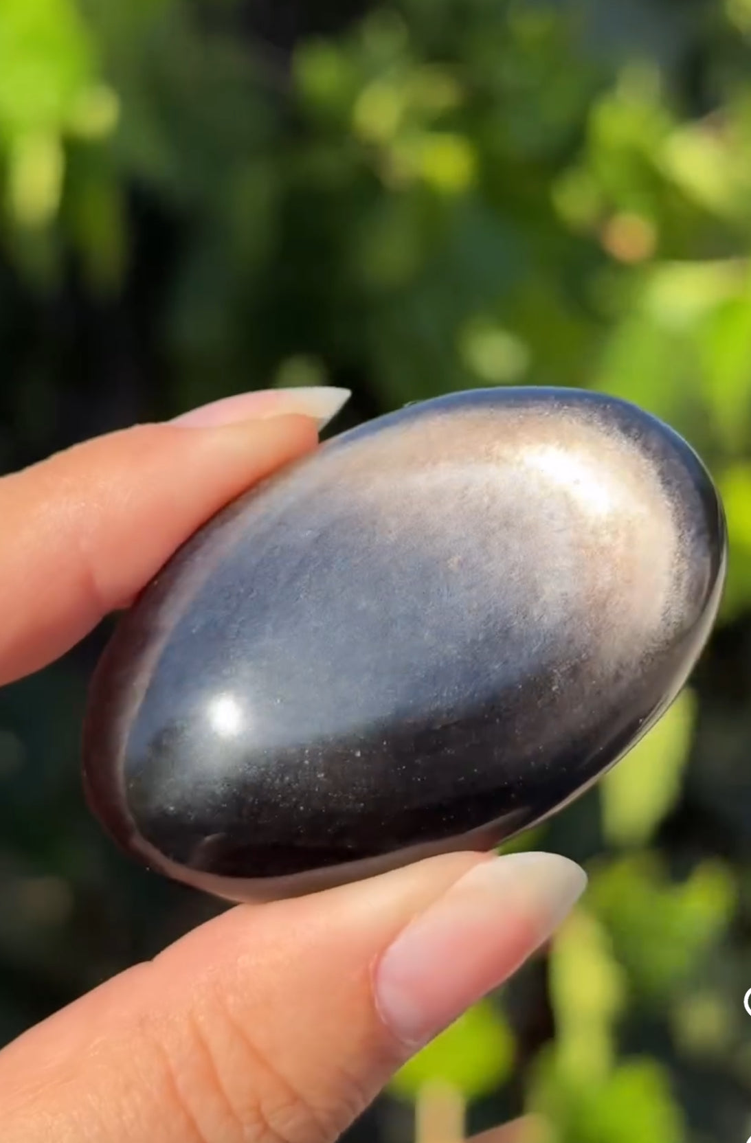 
                  
                    1/2 RESERVED LISTING - angeliqvixen_
                  
                