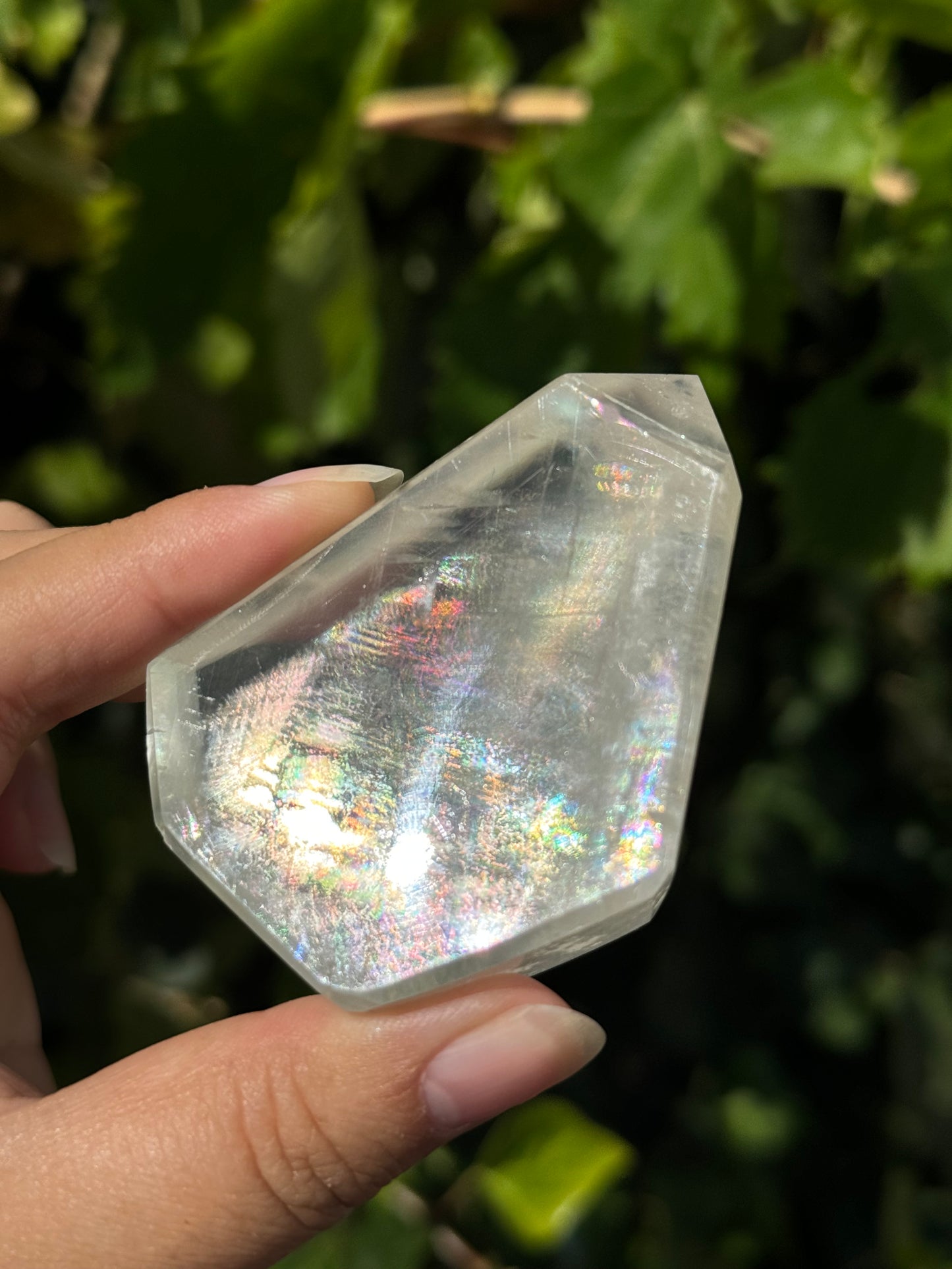 
                  
                    3/3 RESERVED LISTING - angeliqvixen_
                  
                