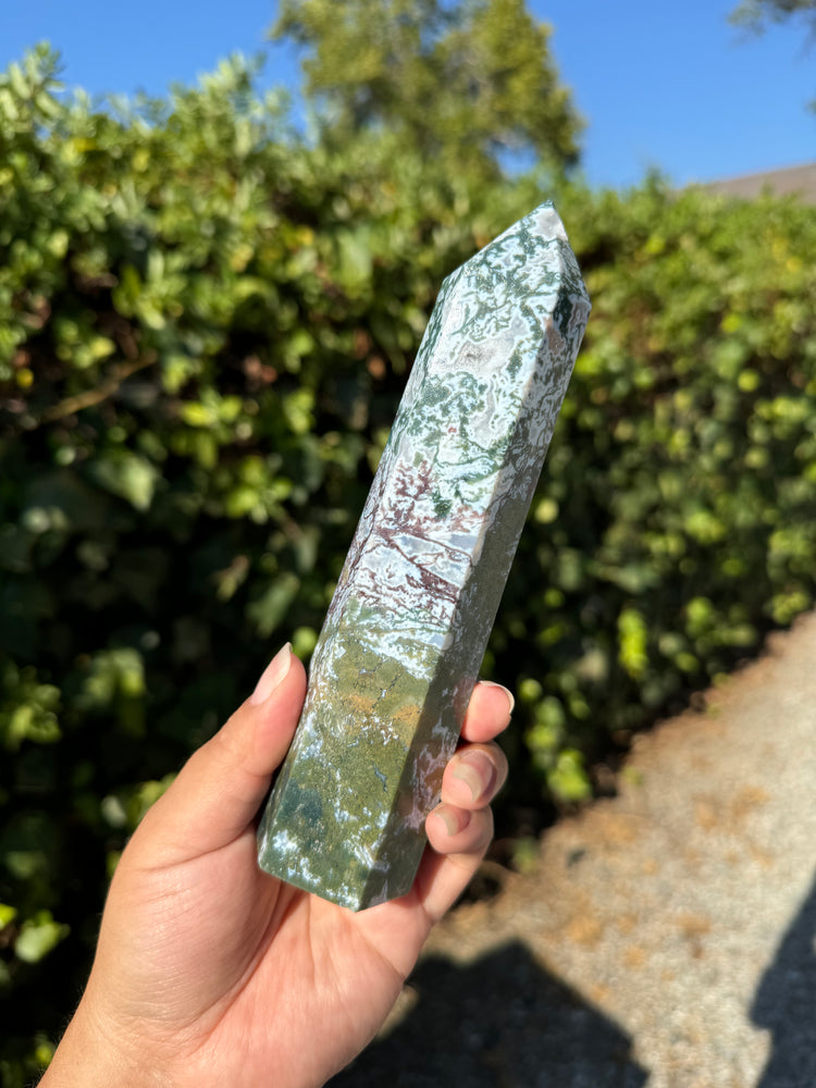 
                  
                    RESERVED LISTING - whimsy.wesley
                  
                