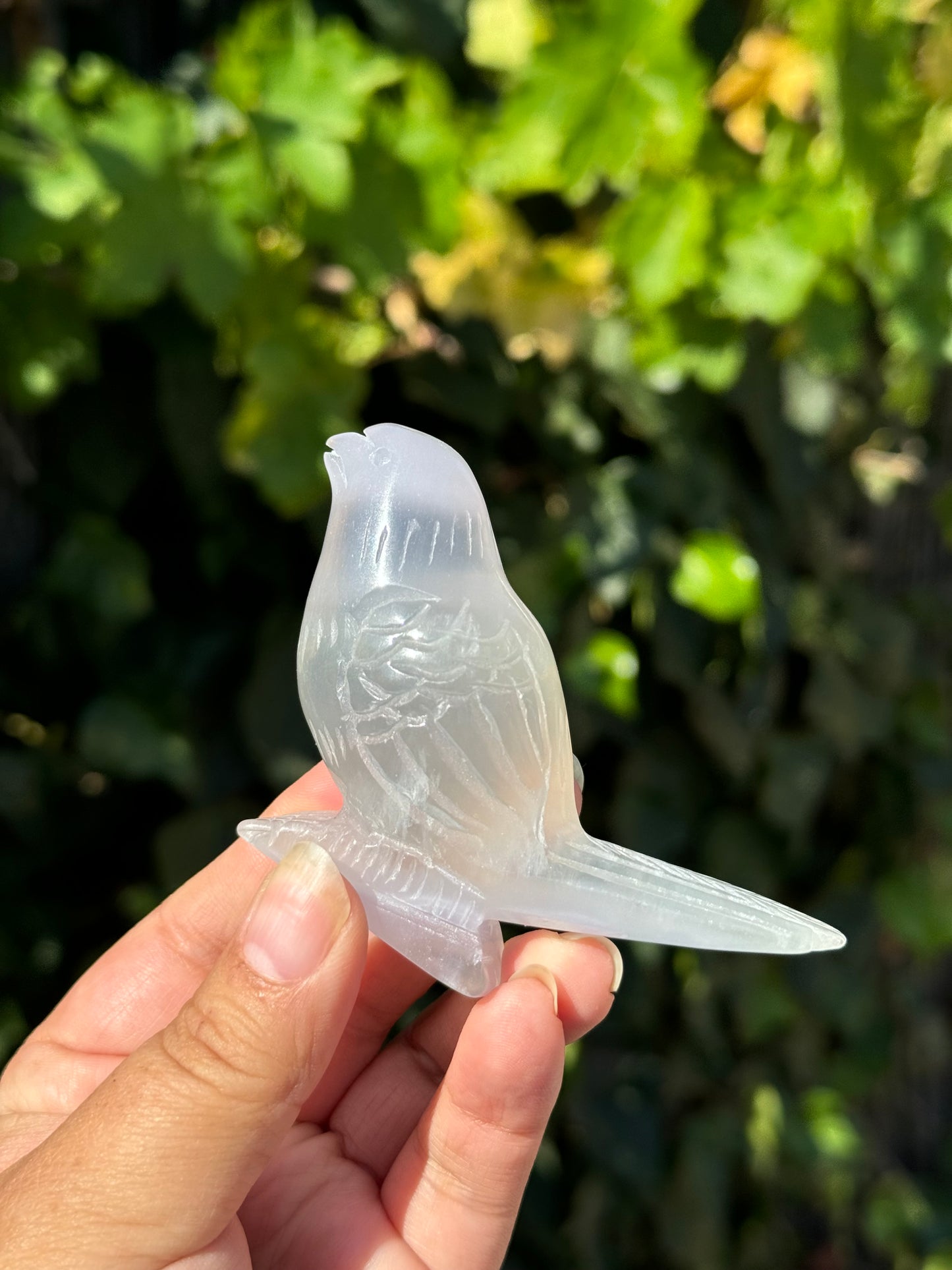 
                  
                    3/3 RESERVED LISTING - angeliqvixen_
                  
                