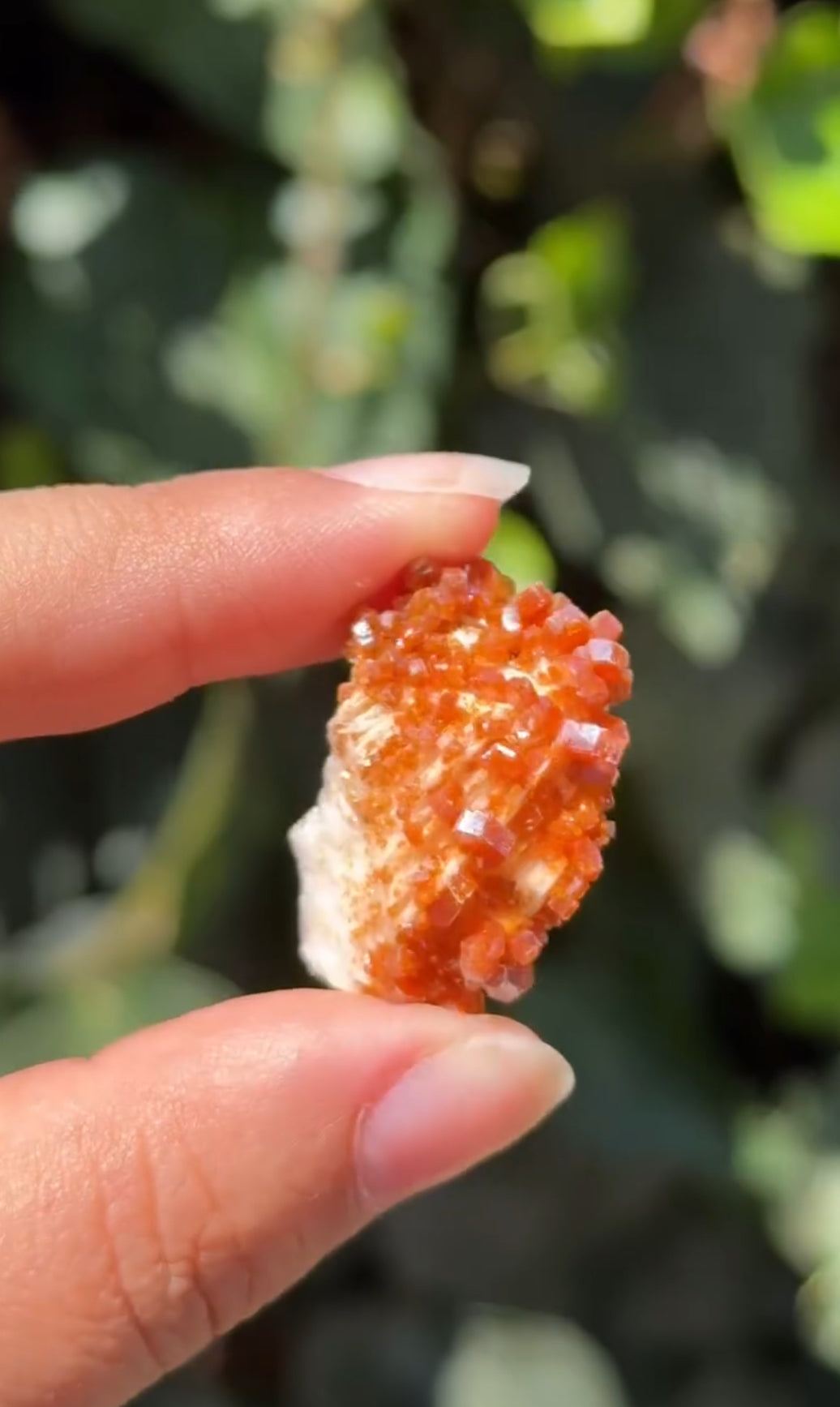 
                  
                    RESERVED LISTING - 4theloveofmygirls
                  
                