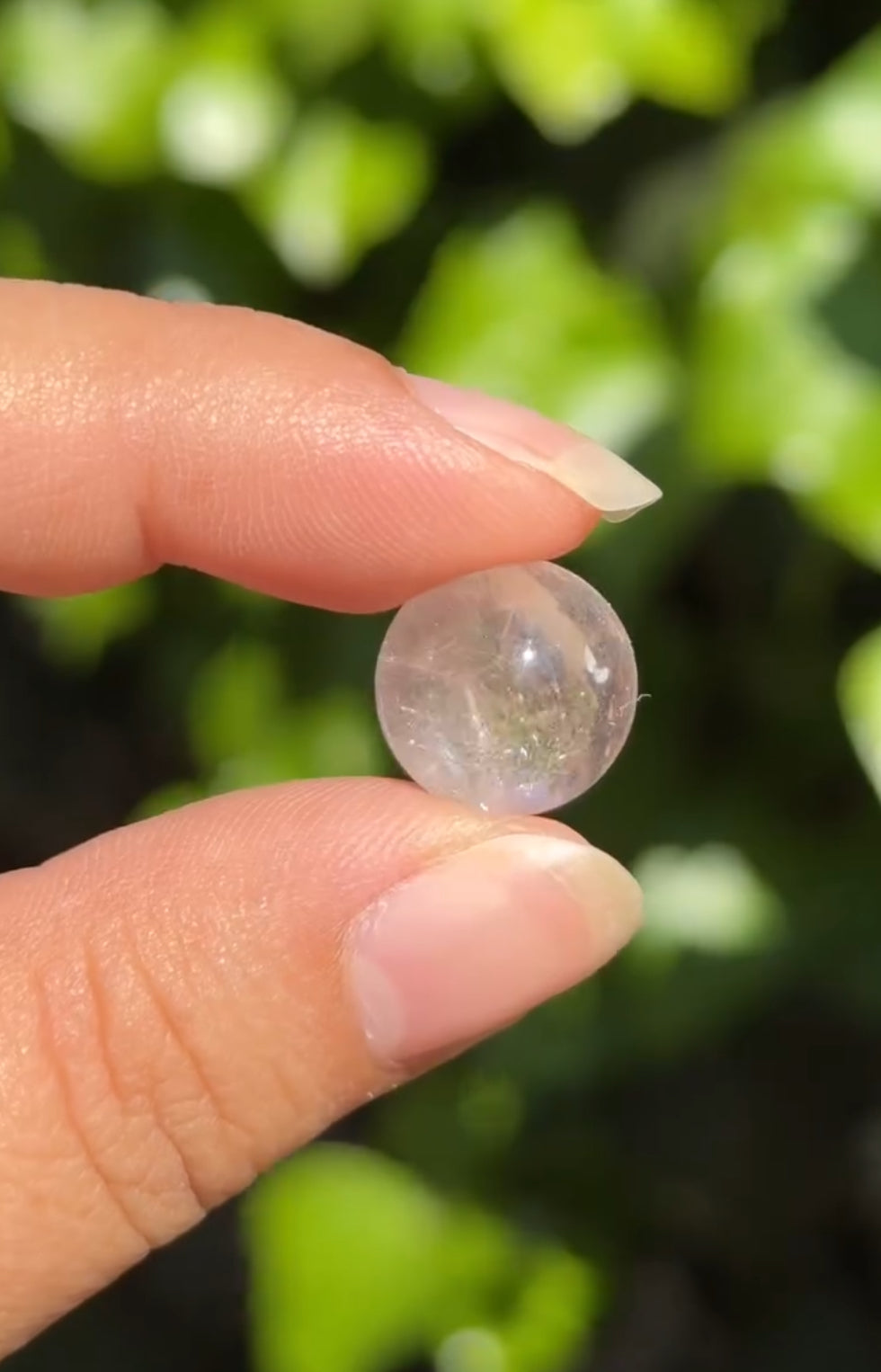 
                  
                    2/3 RESERVED LISTING - angeliqvixen_
                  
                