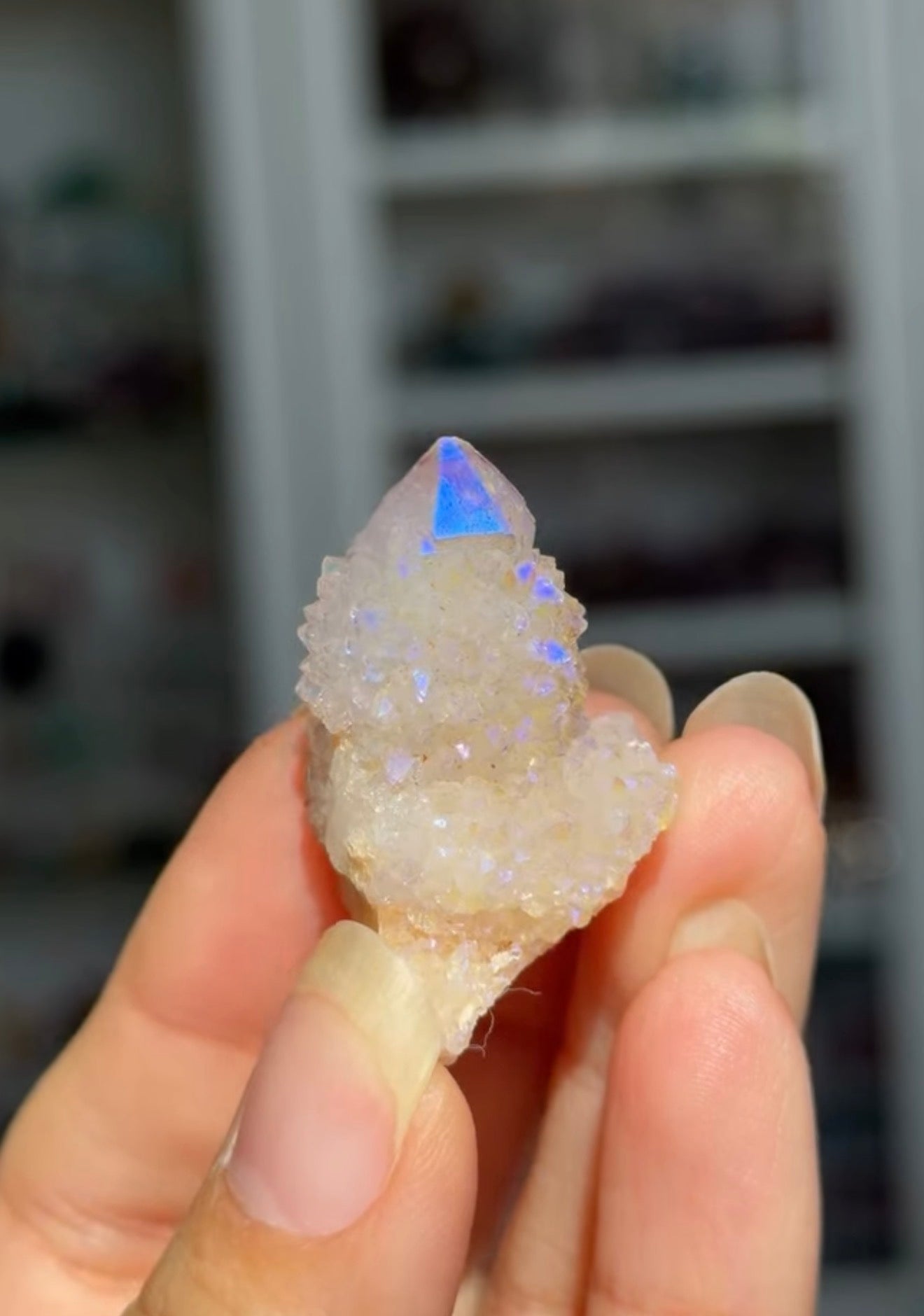 
                  
                    RESERVED LISTING - c_genesisallison87
                  
                