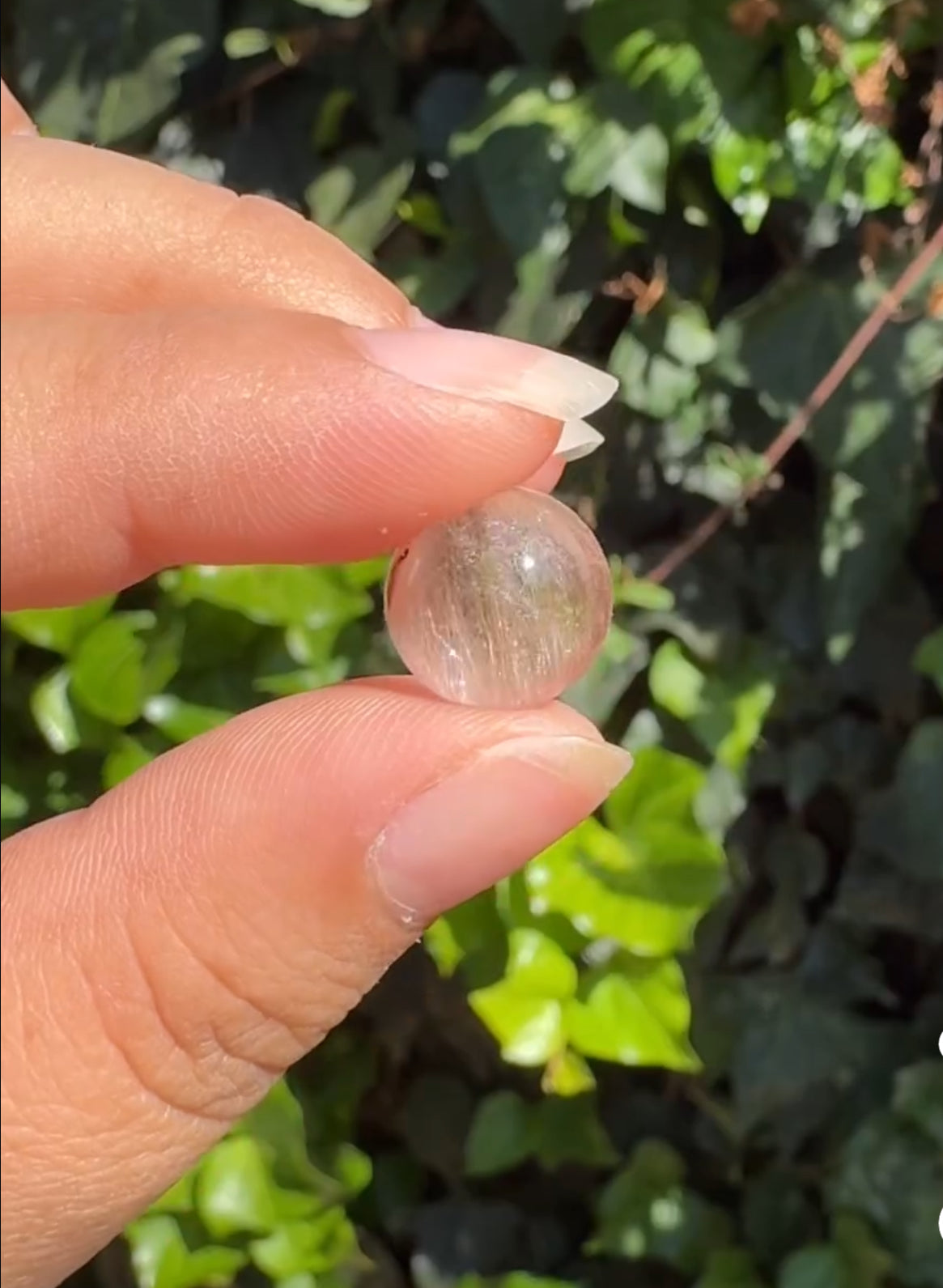 
                  
                    2/3 RESERVED LISTING - angeliqvixen_
                  
                