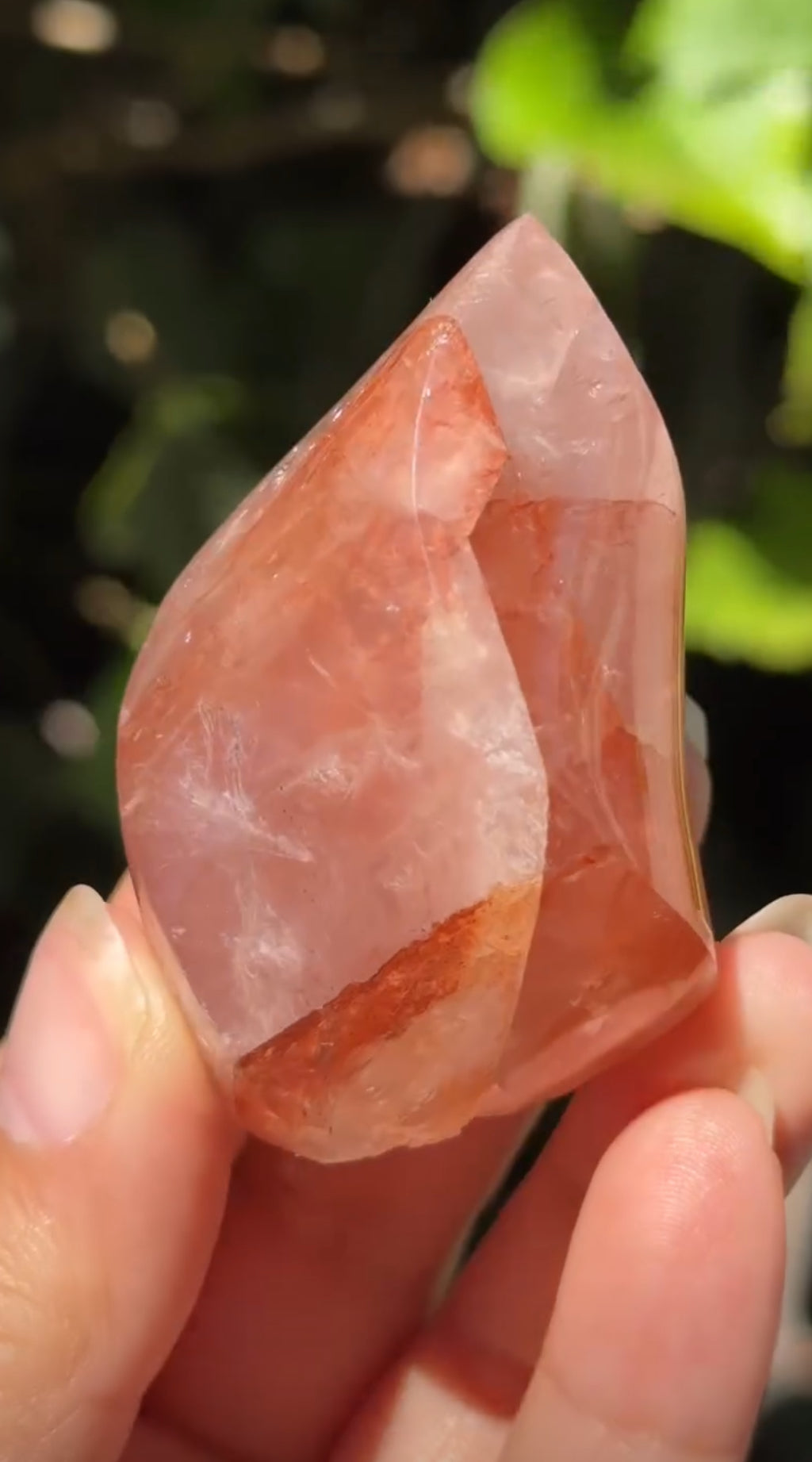 
                  
                    2/3 RESERVED LISTING - angeliqvixen_
                  
                