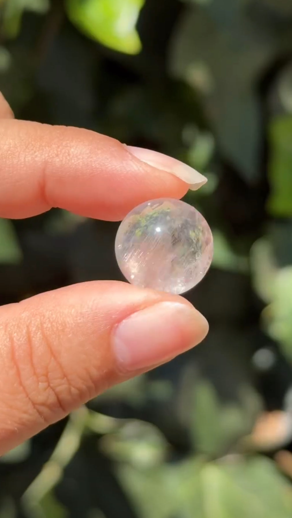 
                  
                    2/3 RESERVED LISTING - angeliqvixen_
                  
                