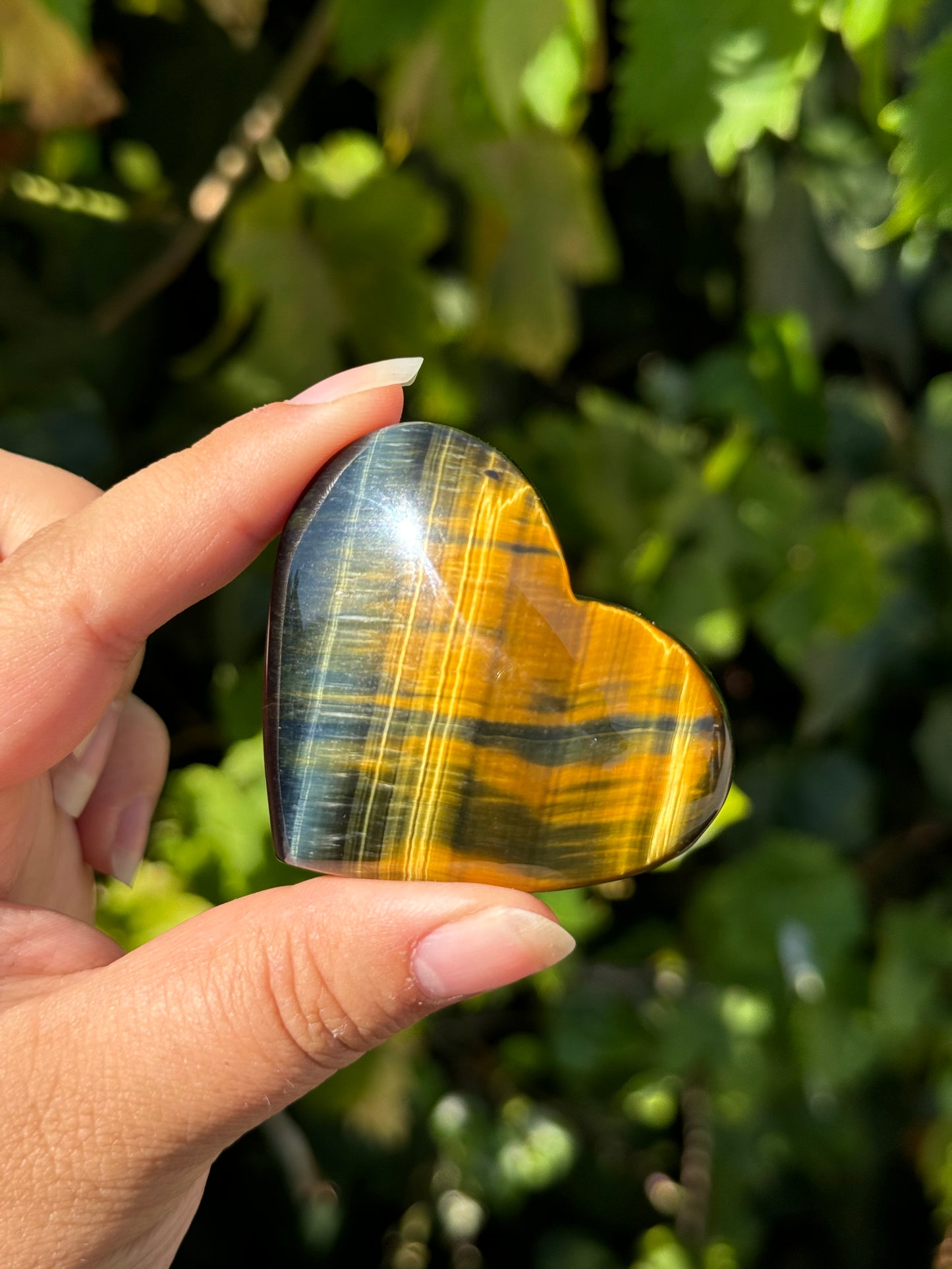 
                  
                    3/3 RESERVED LISTING - angeliqvixen_
                  
                