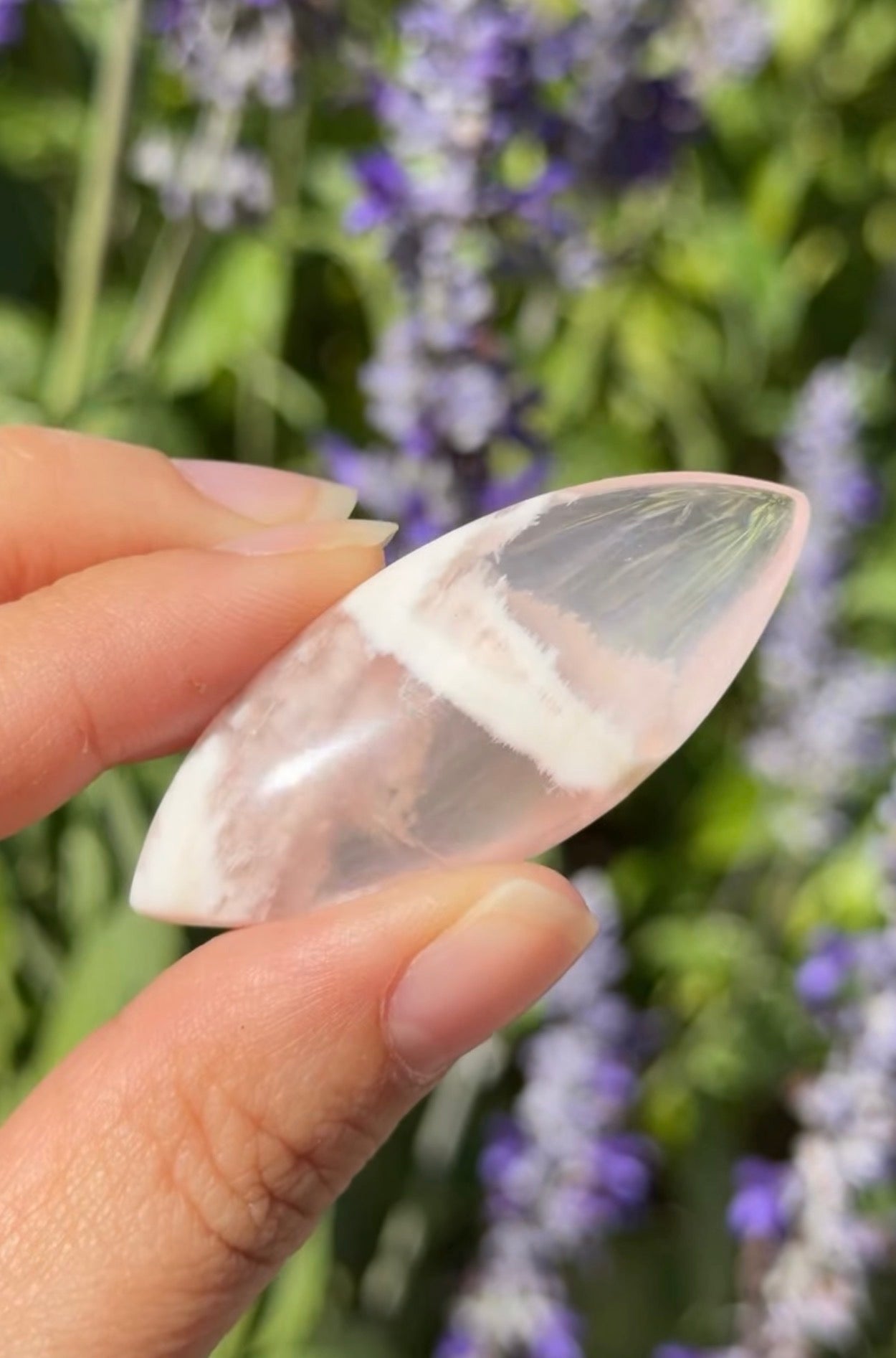 
                  
                    RESERVED LISTING - crystal.bunny23
                  
                