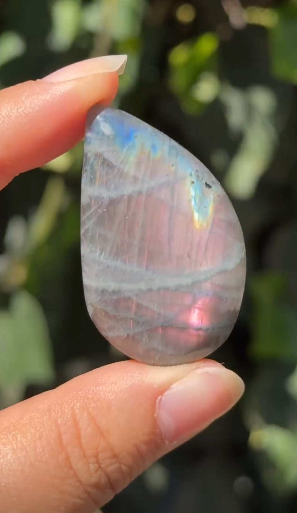 
                  
                    2/3 RESERVED LISTING - angeliqvixen_
                  
                