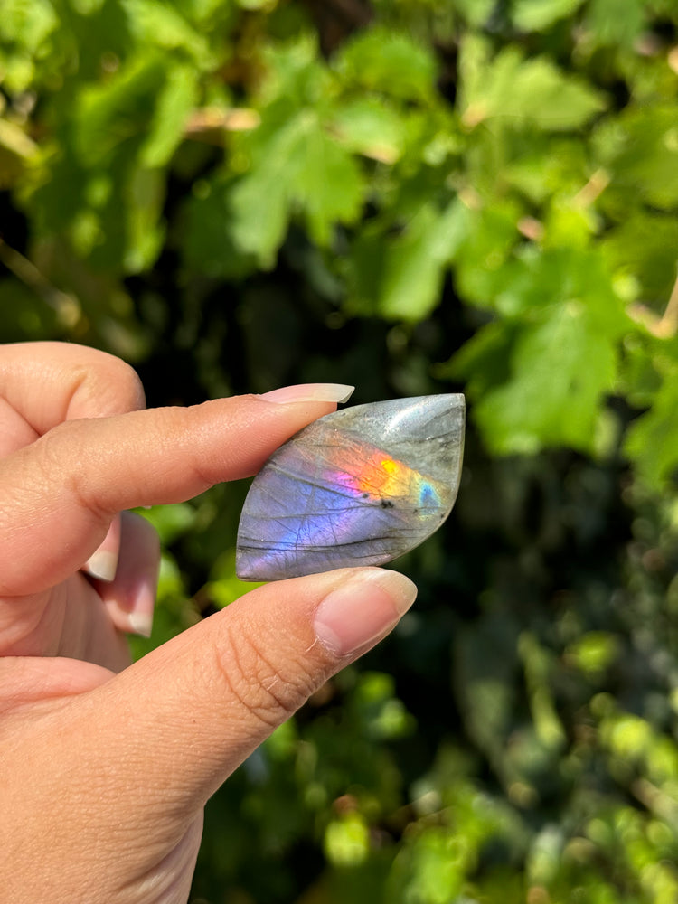 
                  
                    RESERVED LISTING - zombieboy69
                  
                