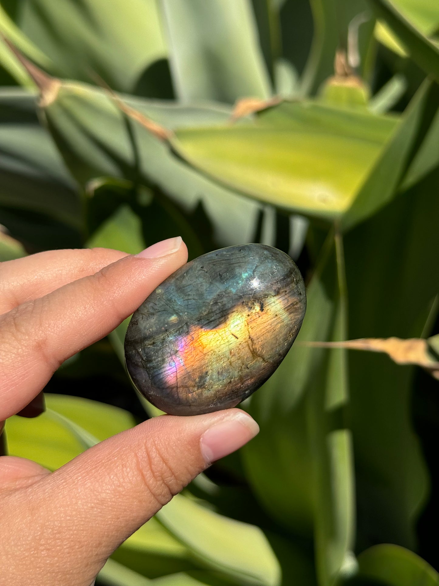 
                  
                    RESERVED LISTING - zombieboy69
                  
                