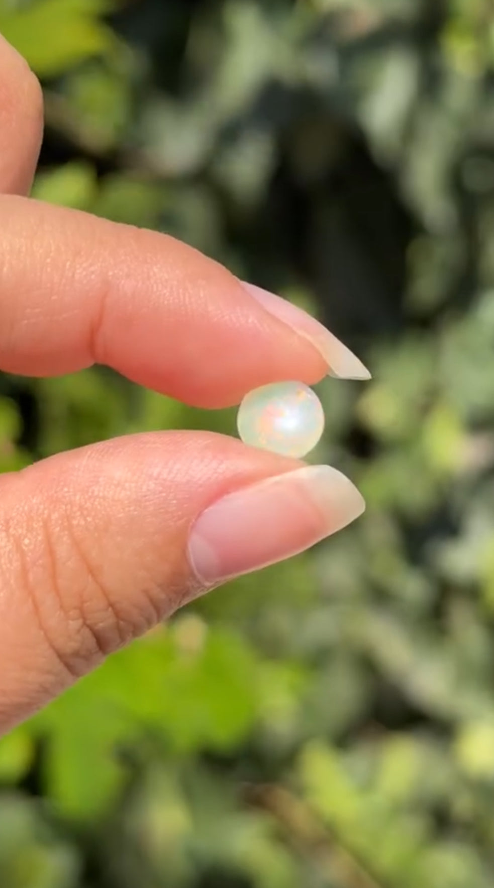 
                  
                    1/2 RESERVED LISTING - angeliqvixen_
                  
                