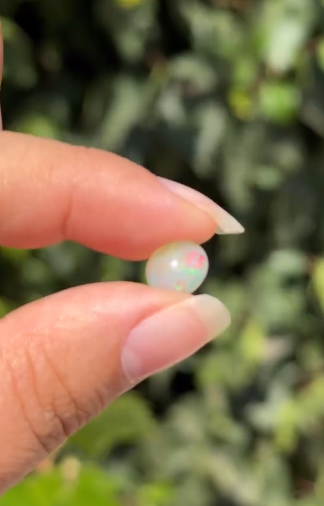 
                  
                    1/2 RESERVED LISTING - angeliqvixen_
                  
                