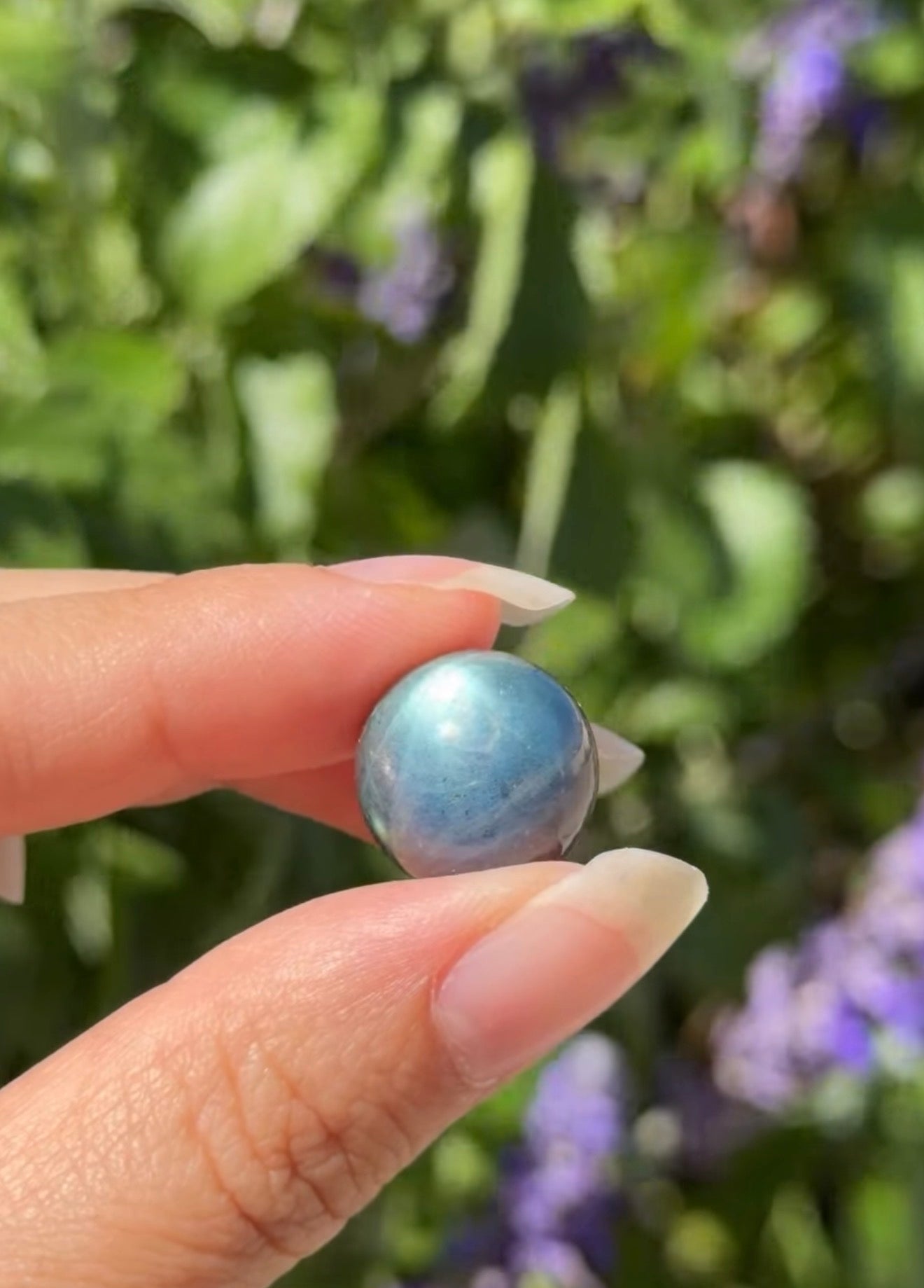 
                  
                    RESERVED LISTING - tammysdolphincrystalpalace23
                  
                
