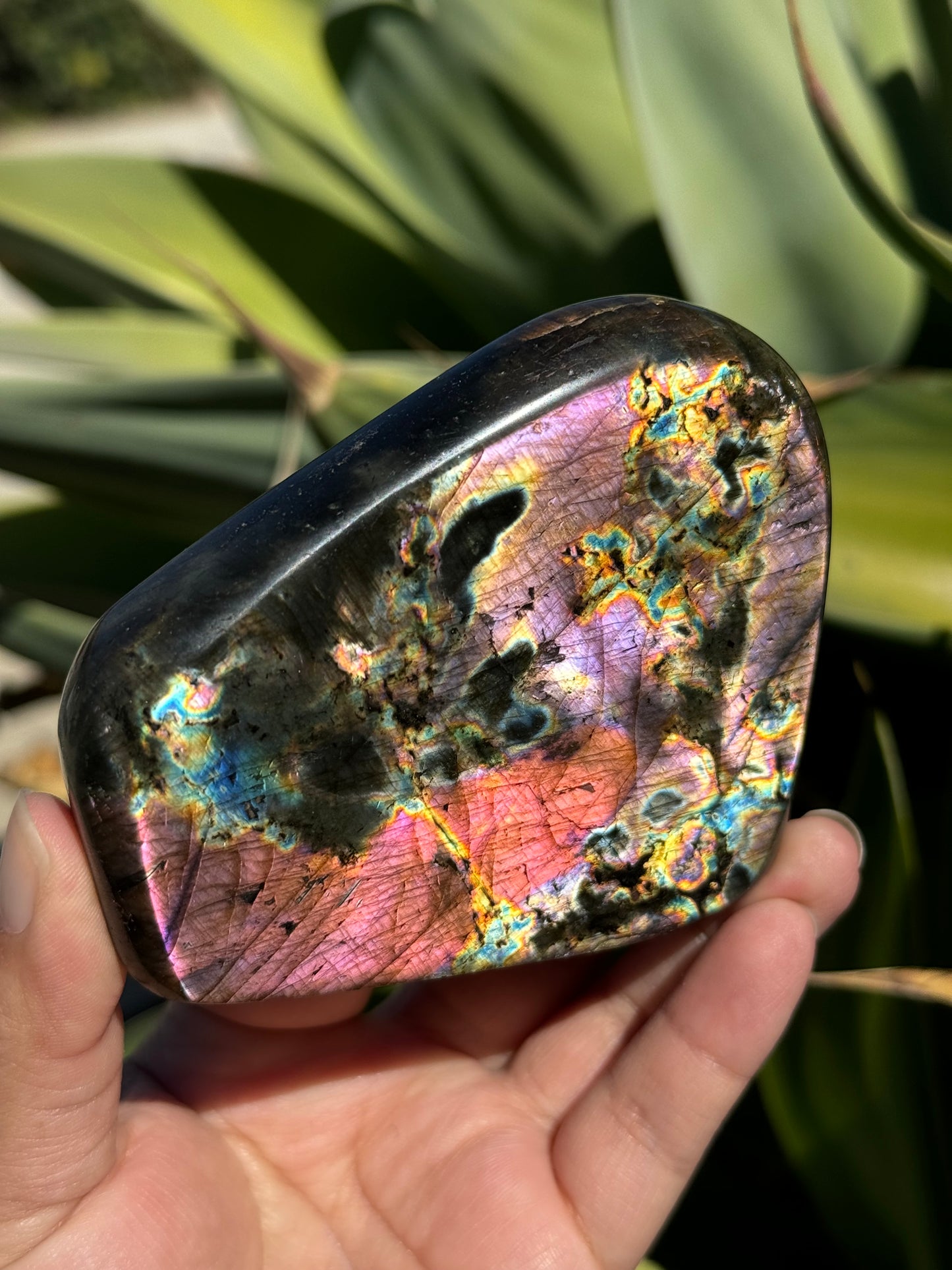 
                  
                    RESERVED LISTING - zombieboy69
                  
                