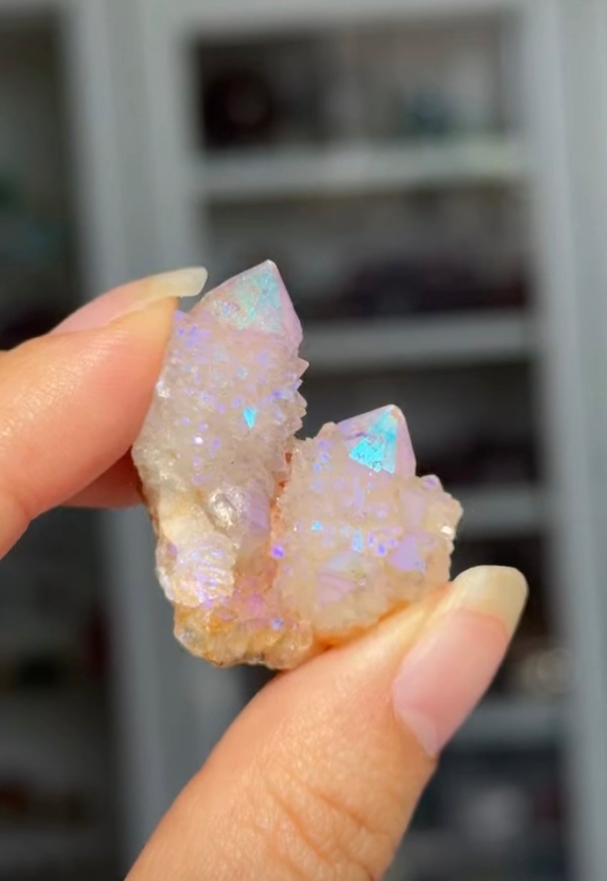 
                  
                    RESERVED LISTING - c_genesisallison87
                  
                