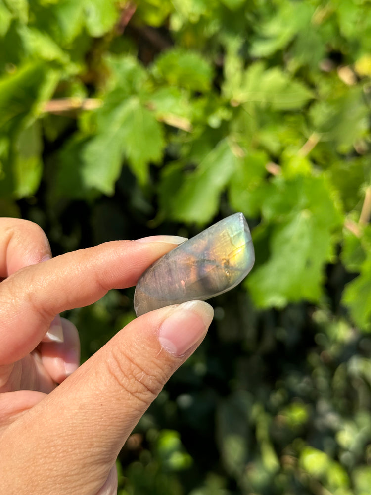 
                  
                    RESERVED LISTING - zombieboy69
                  
                