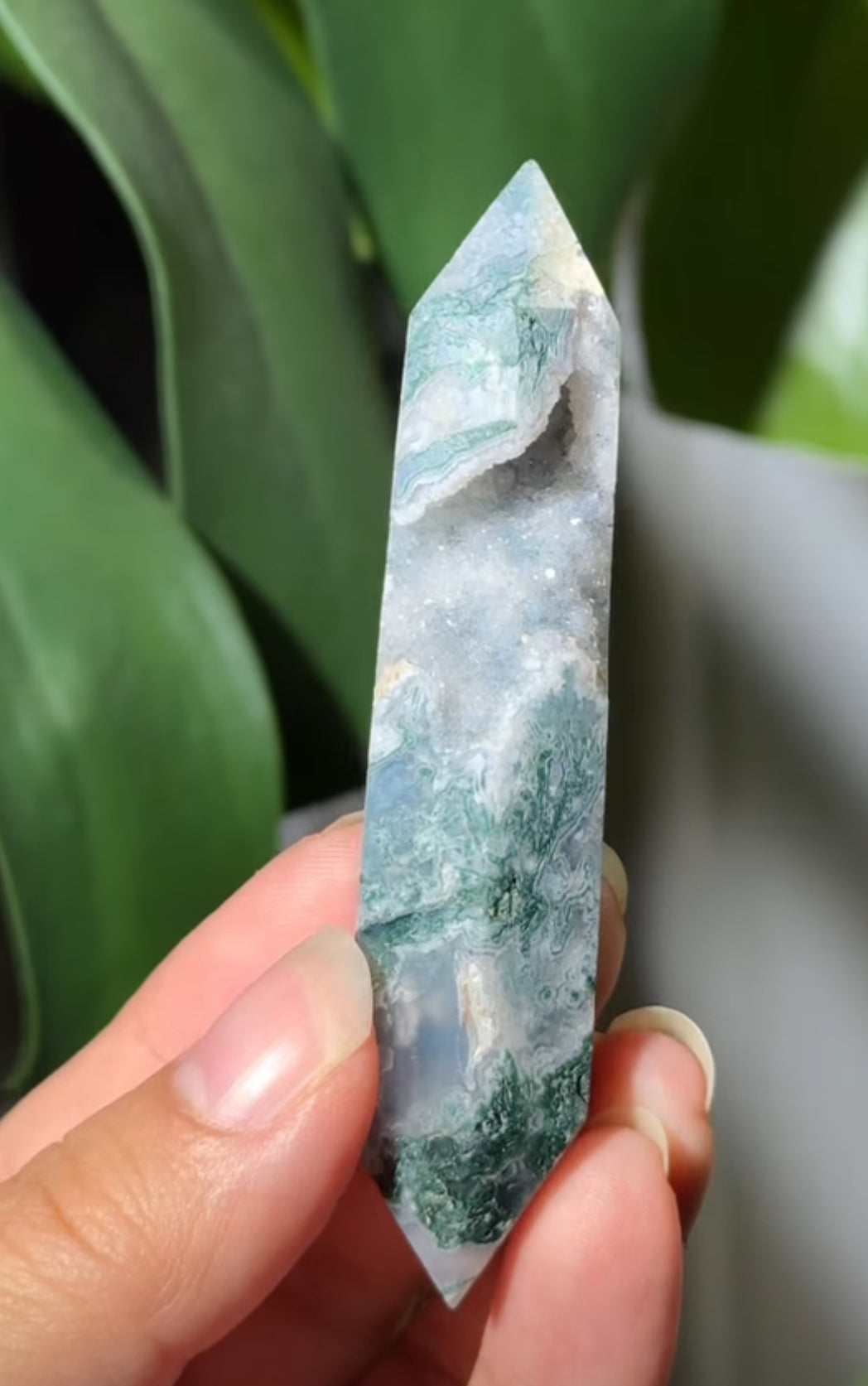 
                  
                    2/2 RESERVED LISTING - angeliqvixen_
                  
                