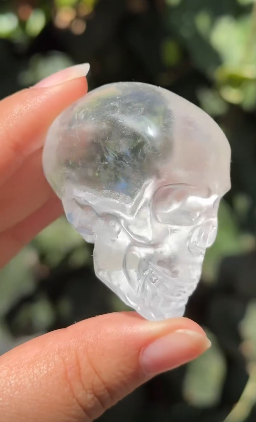 
                  
                    2/3 RESERVED LISTING - angeliqvixen_
                  
                