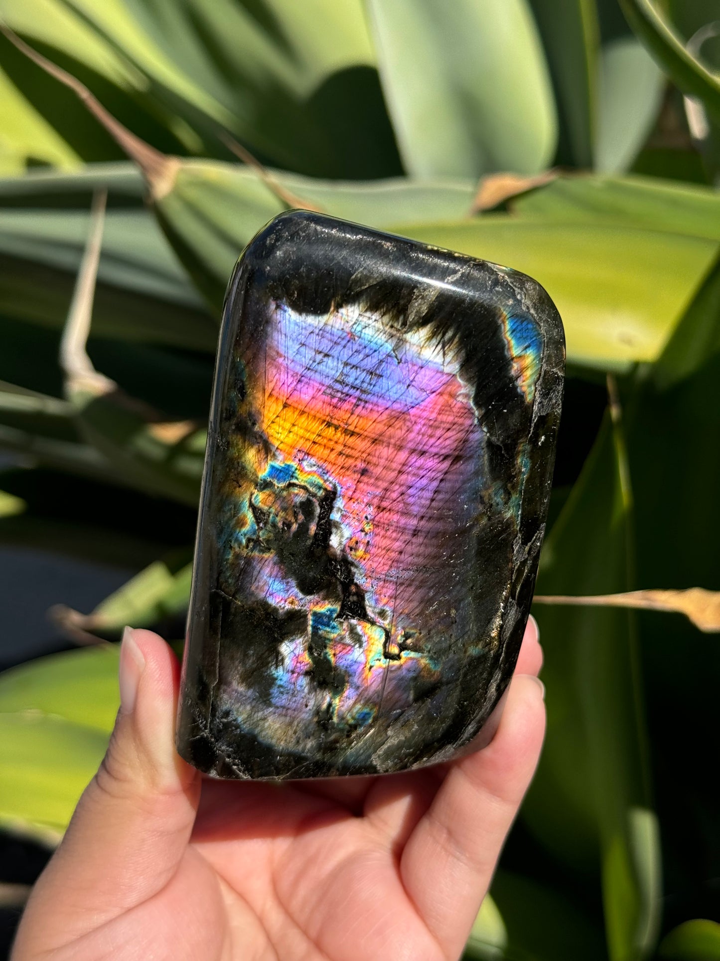 
                  
                    RESERVED LISTING - zombieboy69
                  
                