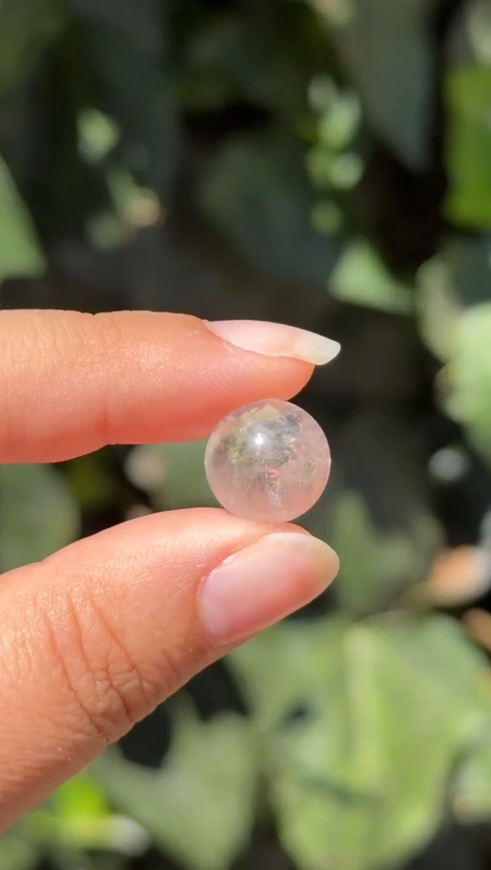 
                  
                    2/3 RESERVED LISTING - angeliqvixen_
                  
                