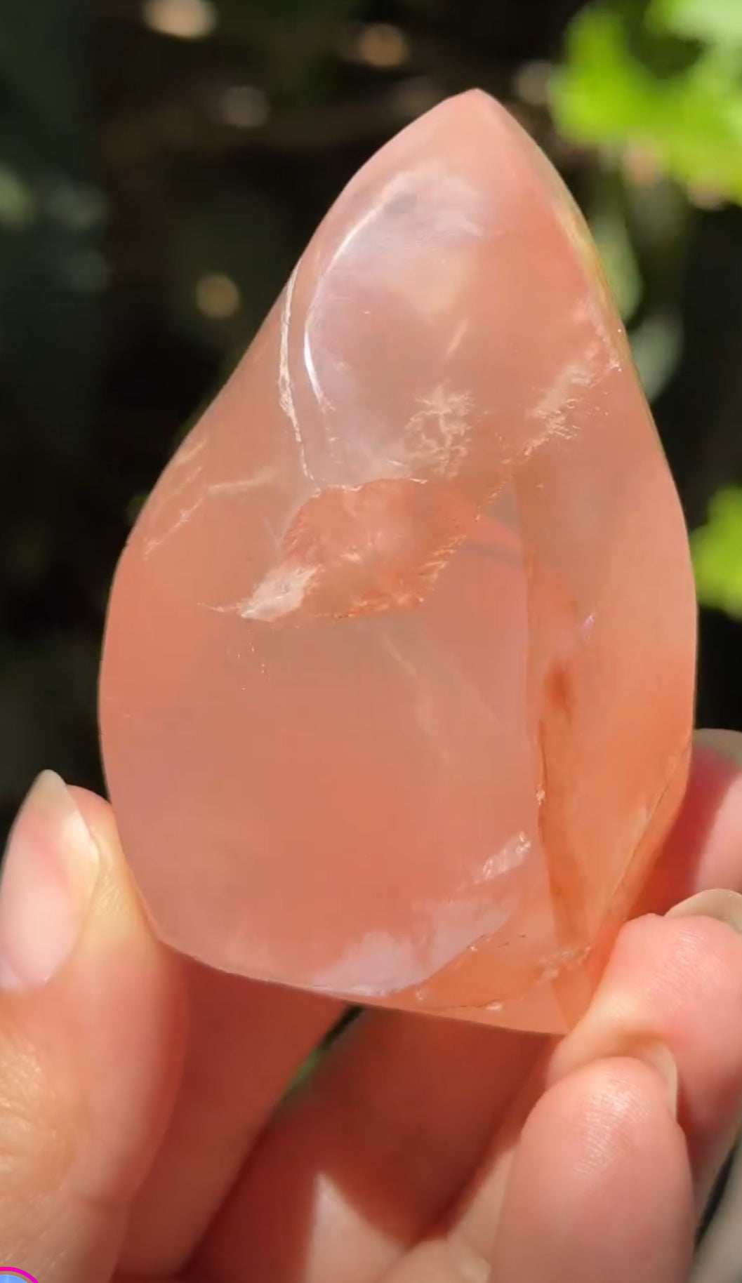 
                  
                    2/3 RESERVED LISTING - angeliqvixen_
                  
                