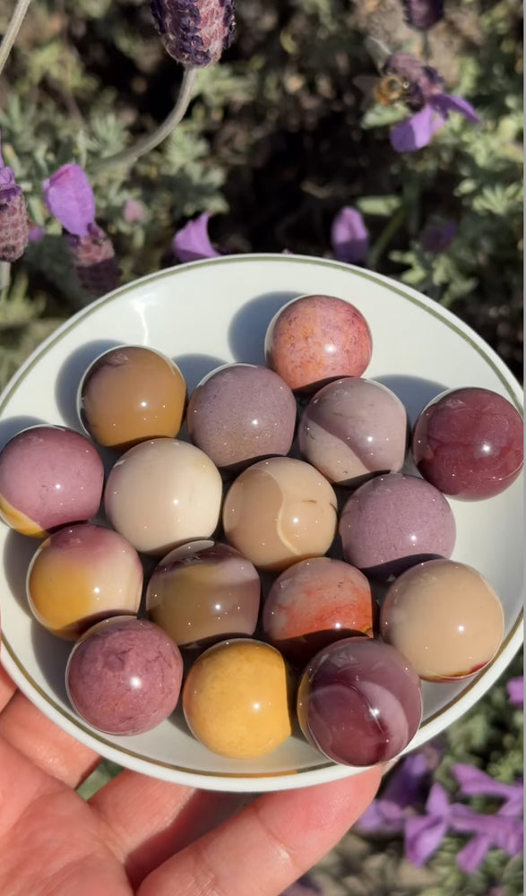 
                  
                    RESERVED LISTING - viv
                  
                