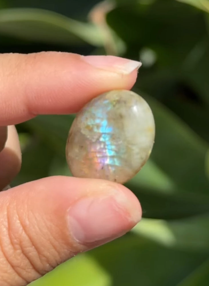 
                  
                    RESERVED LISTING - tashahaley
                  
                