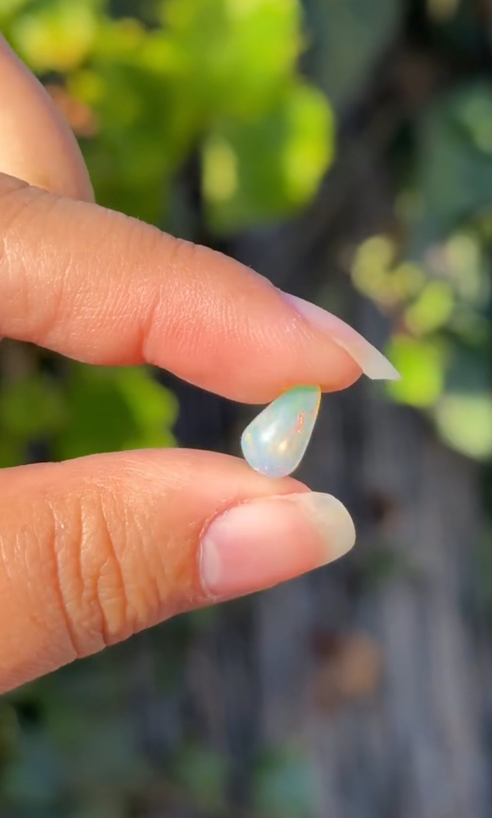 
                  
                    1/2 RESERVED LISTING - angeliqvixen_
                  
                