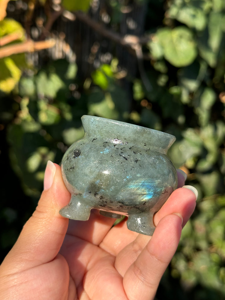 
                  
                    1/2 RESERVED LISTING - angeliqvixen_
                  
                