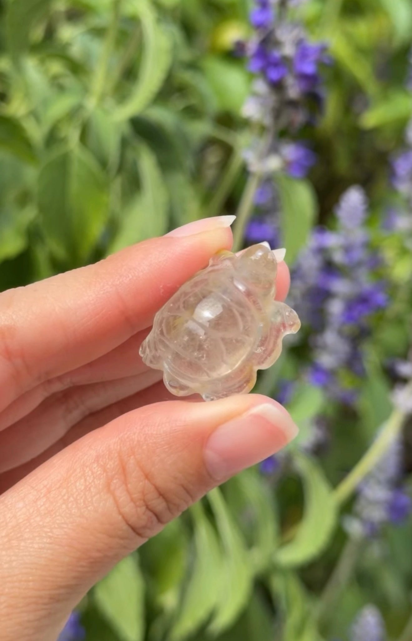 
                  
                    RESERVED LISTING - viv
                  
                