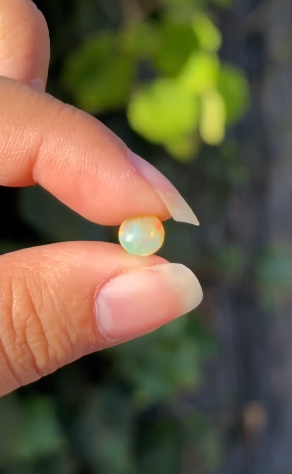 
                  
                    1/2 RESERVED LISTING - angeliqvixen_
                  
                