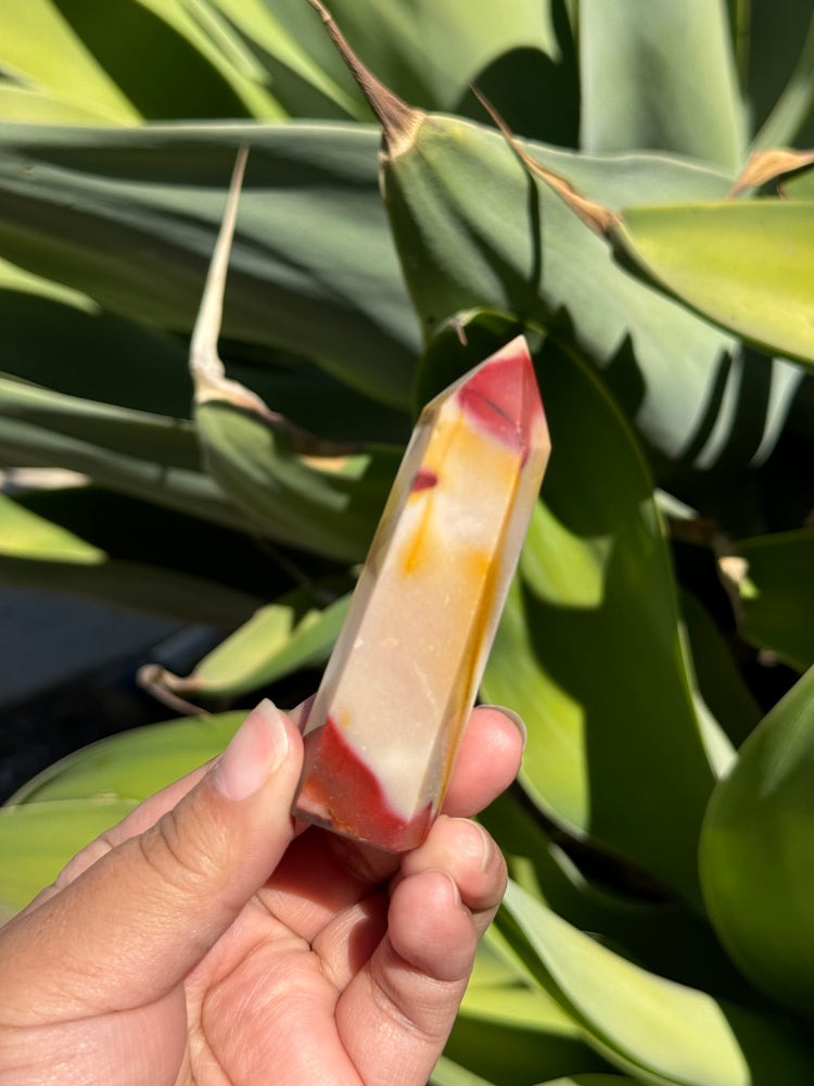 
                  
                    RESERVED LISTING - Viv
                  
                