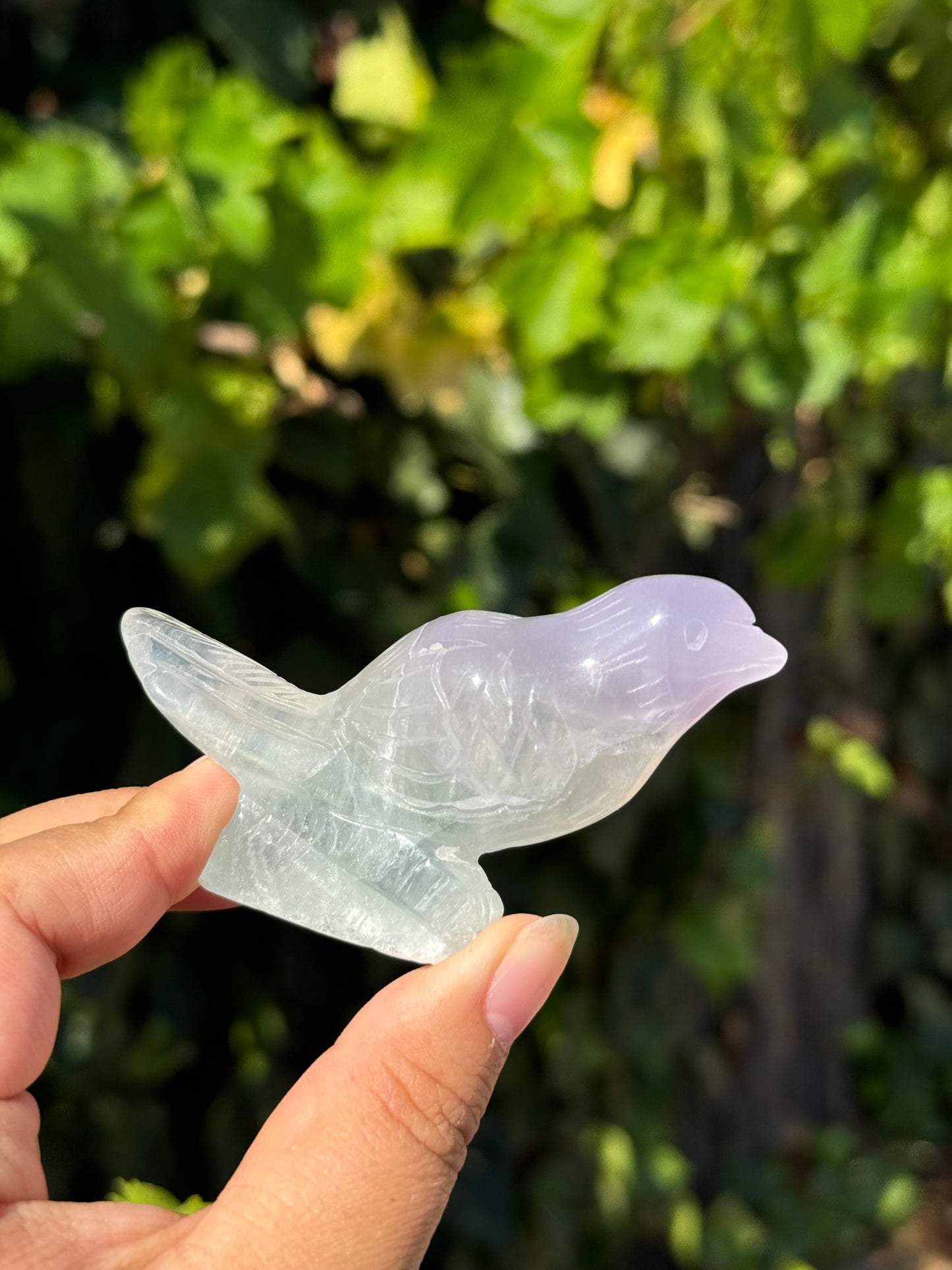 
                  
                    3/3 RESERVED LISTING - angeliqvixen_
                  
                