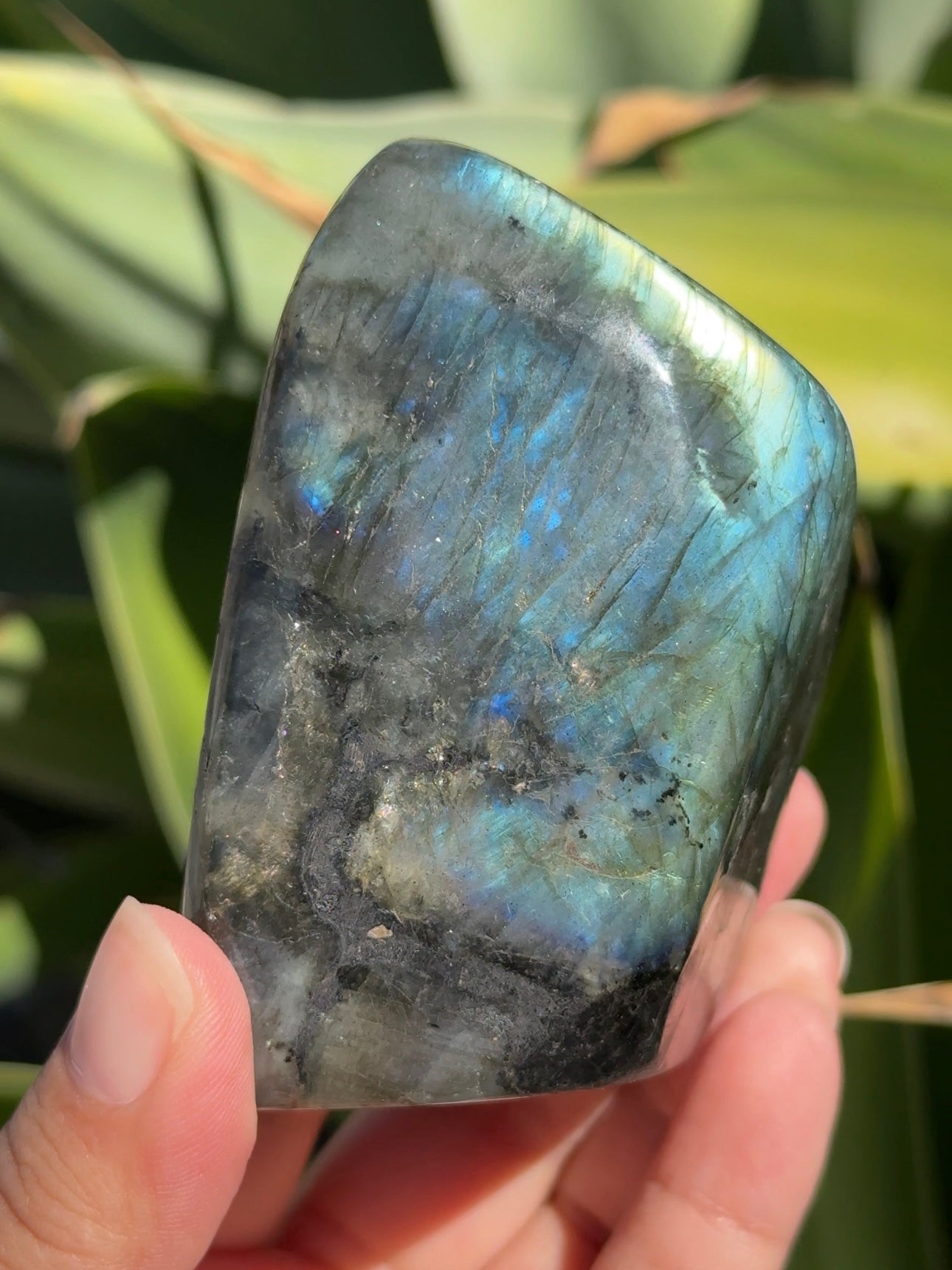 
                  
                    Labradorite Freeform
                  
                