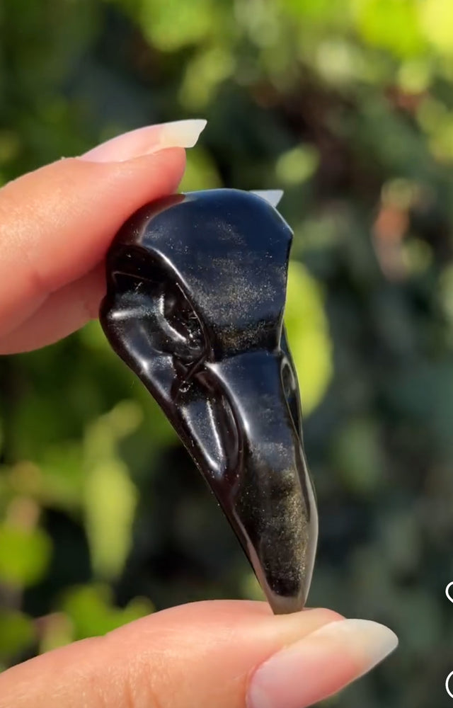 
                  
                    1/2 RESERVED LISTING - angeliqvixen_
                  
                