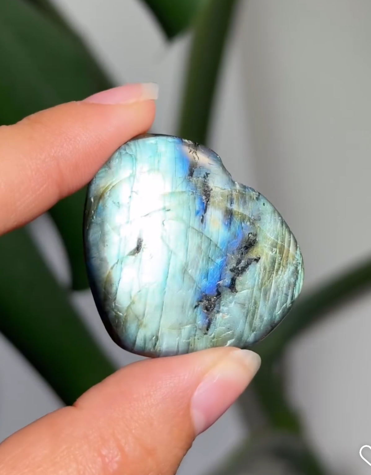 
                  
                    RESERVED LISTING - zombieboy69
                  
                