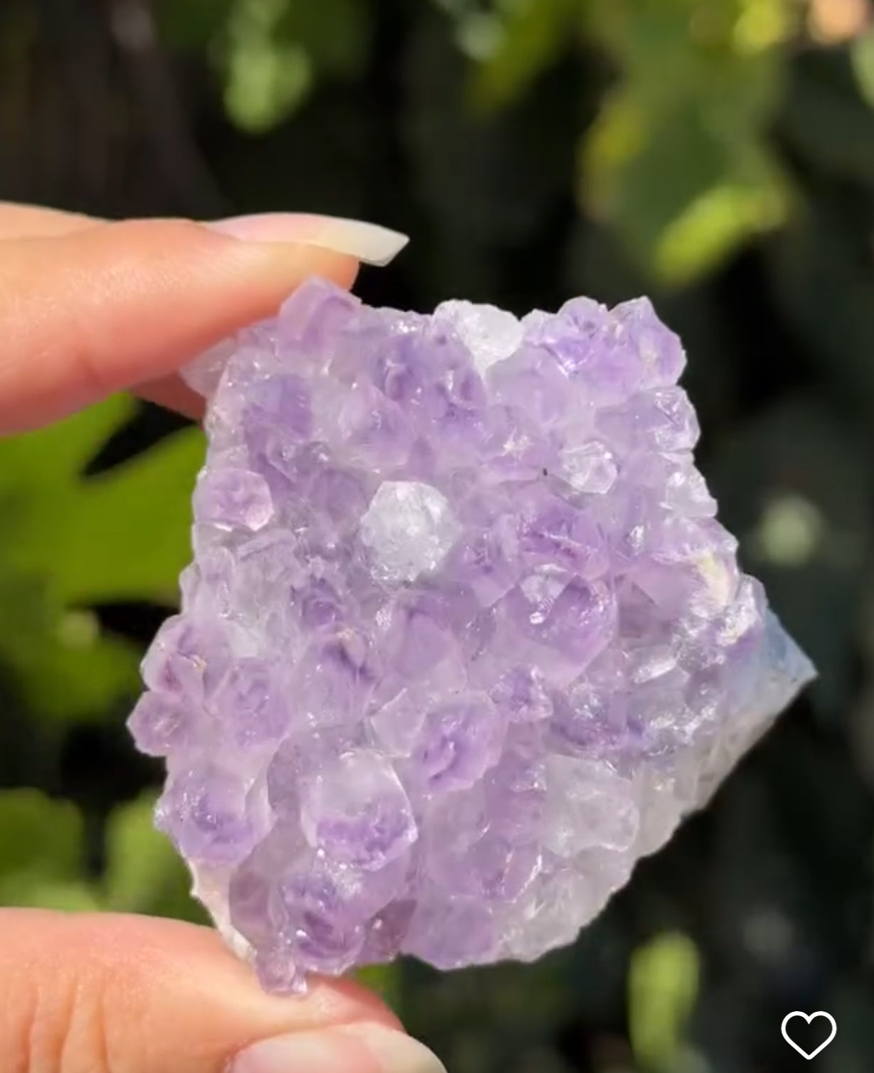 
                  
                    1/2 RESERVED LISTING - angeliqvixen_
                  
                