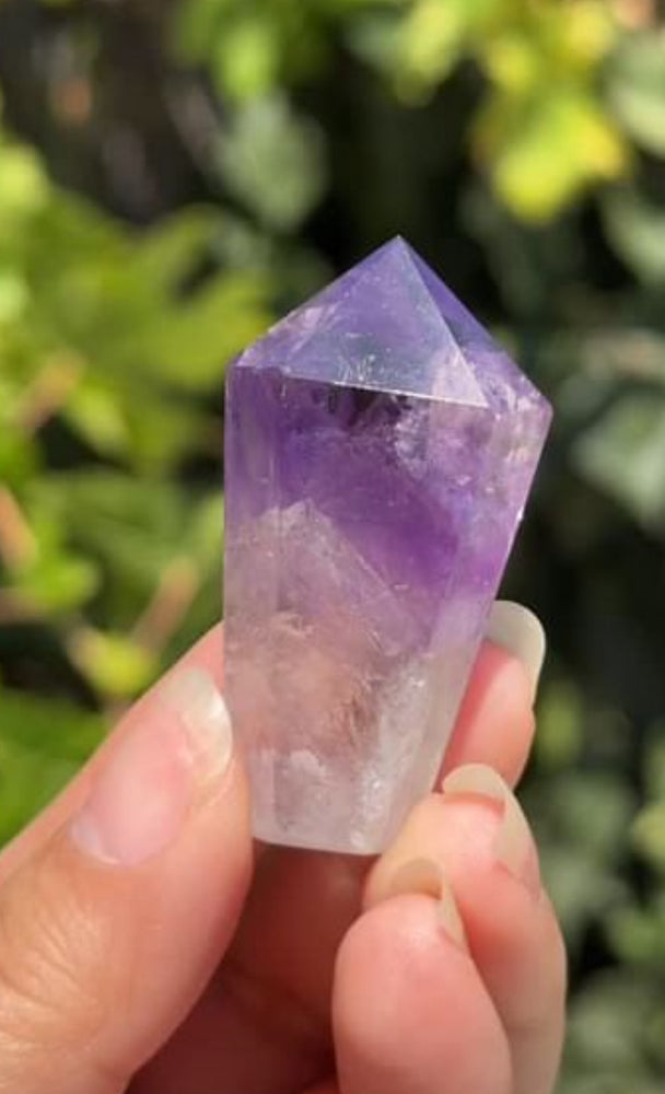 
                  
                    1/2 RESERVED LISTING - angeliqvixen_
                  
                