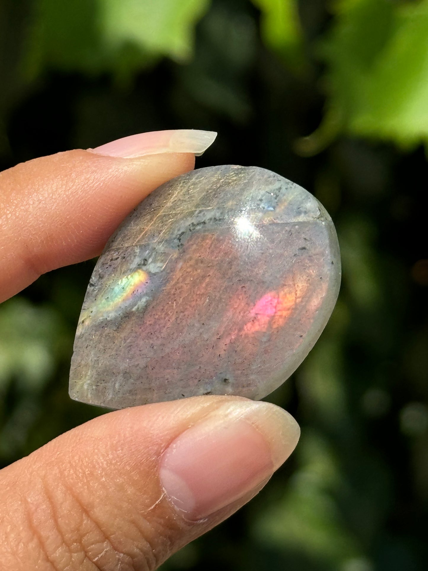 
                  
                    RESERVED LISTING - zombieboy69
                  
                