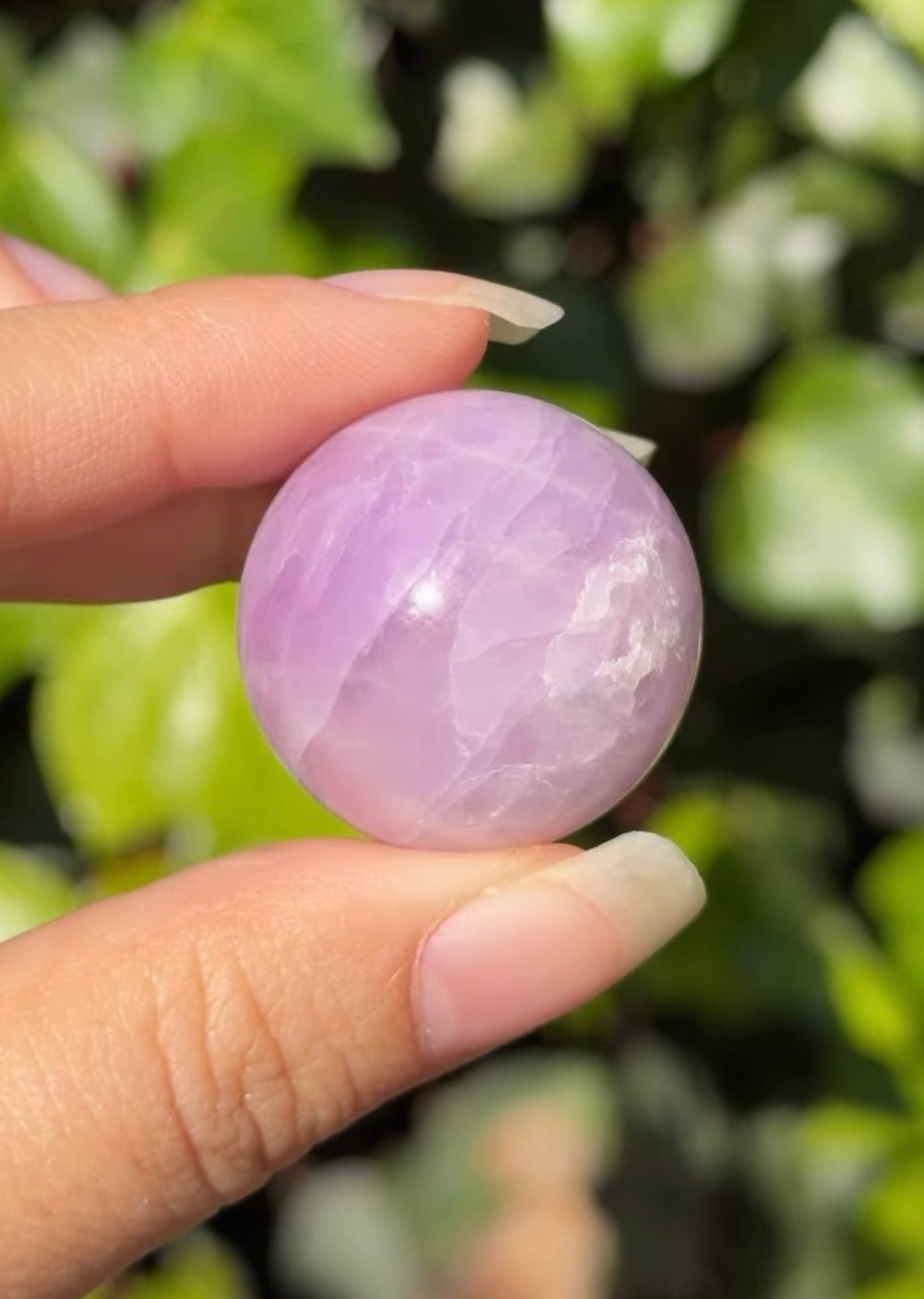 
                  
                    RESERVED LISTING - lavender.starlight.dreams
                  
                