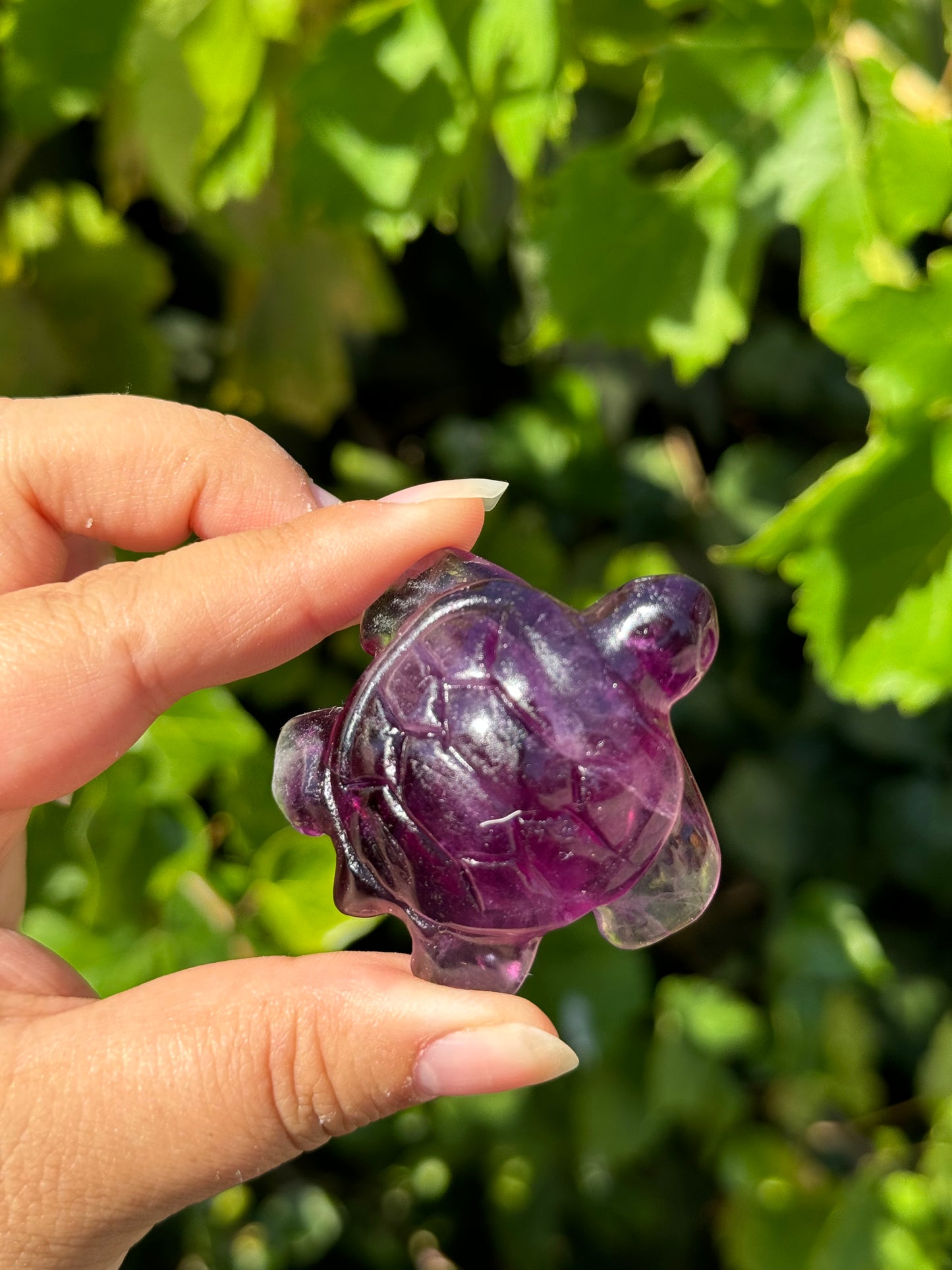 
                  
                    3/3 RESERVED LISTING - angeliqvixen_
                  
                