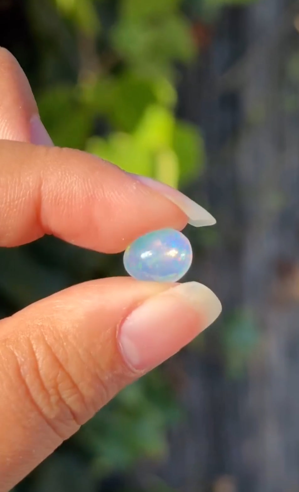 
                  
                    1/2 RESERVED LISTING - angeliqvixen_
                  
                