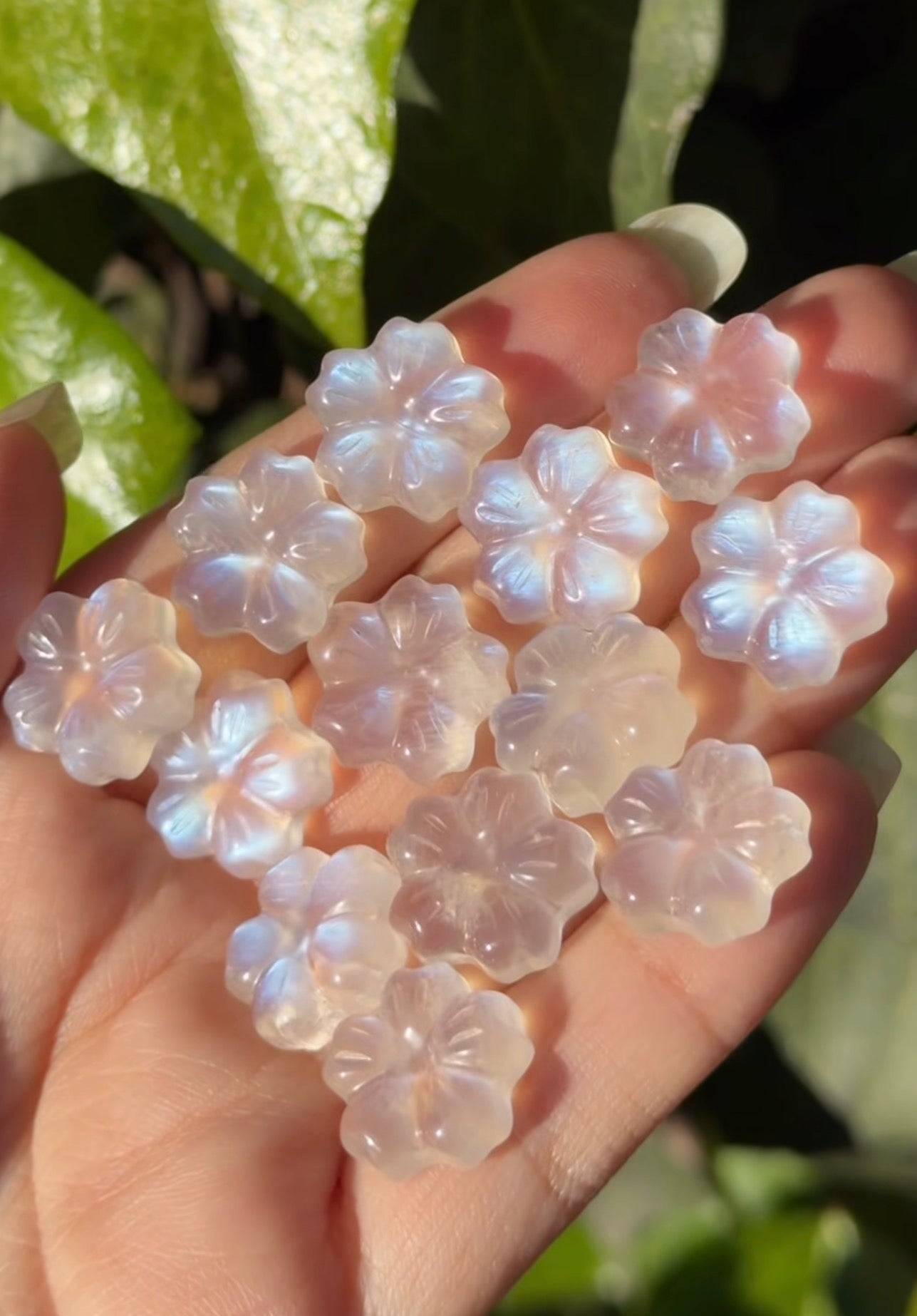 
                  
                    RESERVED LISTING - lavender.starlight.dreams
                  
                
