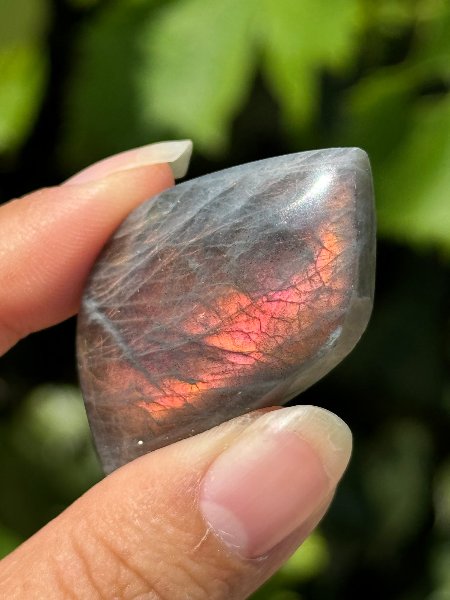 
                  
                    RESERVED LISTING - zombieboy69
                  
                