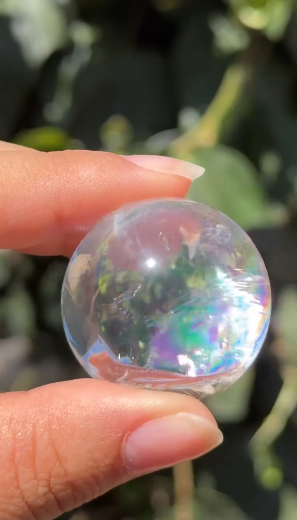 
                  
                    2/3 RESERVED LISTING - angeliqvixen_
                  
                