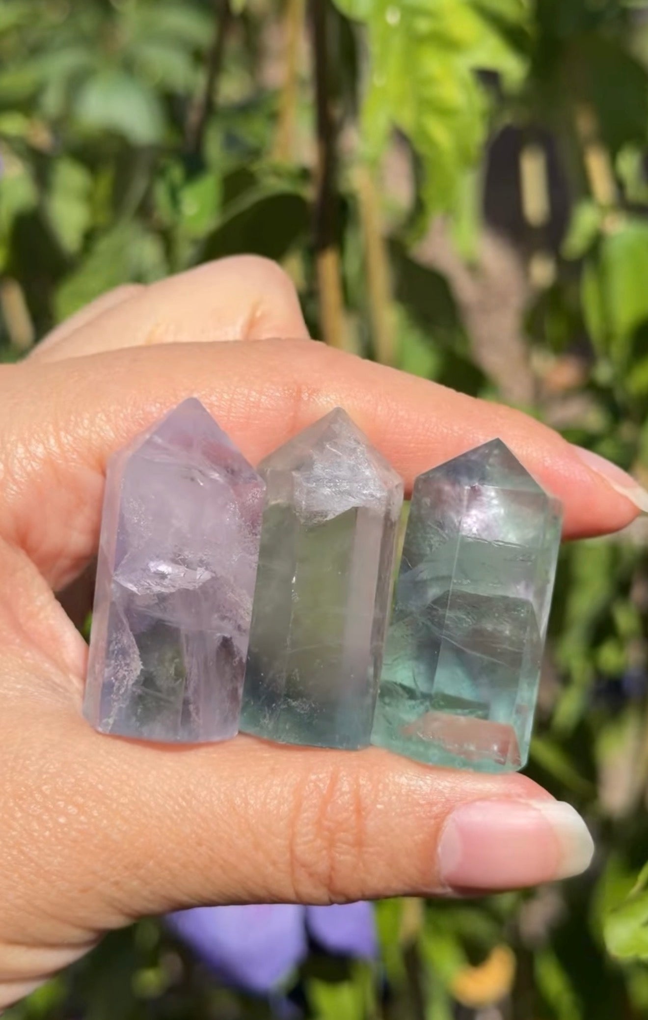 
                  
                    RESERVED LISTING - tammysdolphincrystalpalace23
                  
                