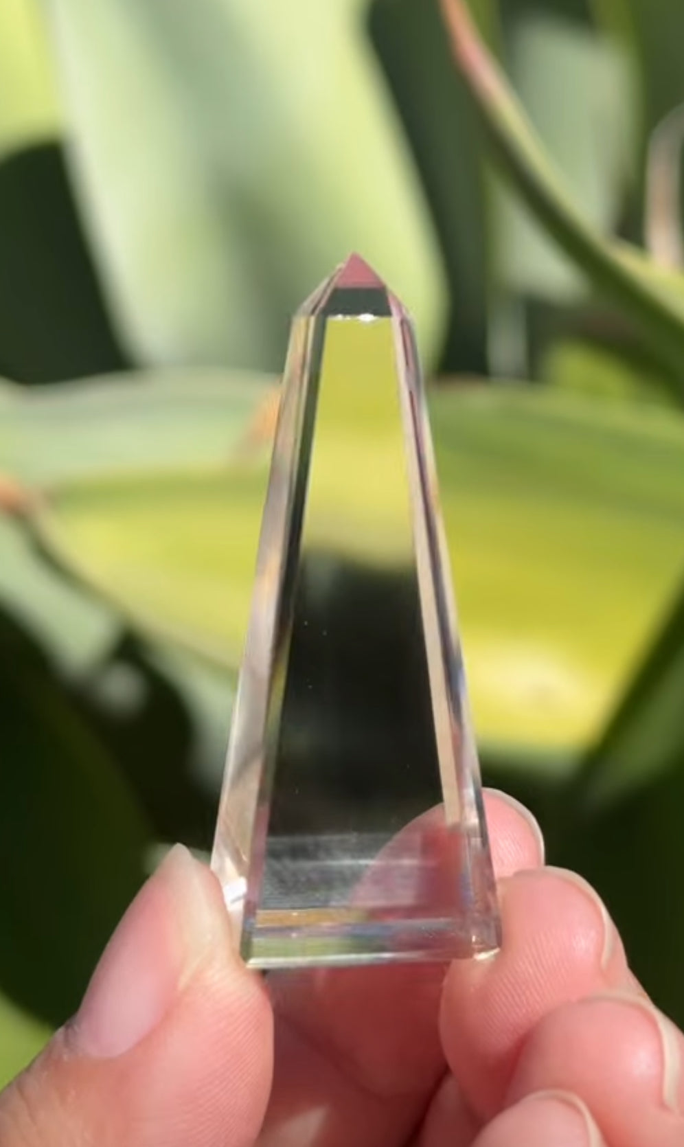 
                  
                    2/2 RESERVED LISTING - angeliqvixen_
                  
                